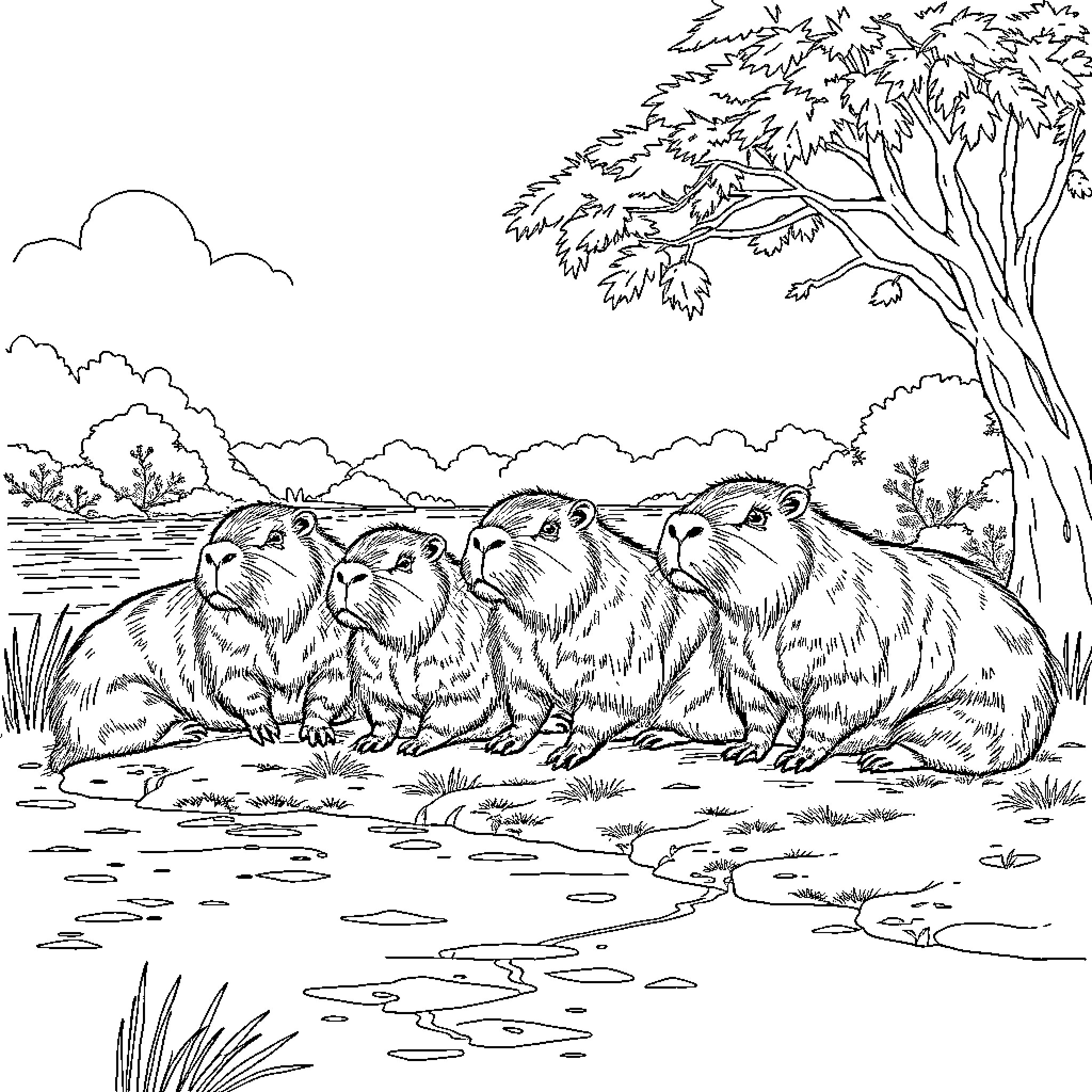 Capybara enjoying a peaceful gathering in nature Coloring Page (free black-and-white line drawing printable PDF for all, from beginners to advanced learners, including children, teens, adults, and seniors)