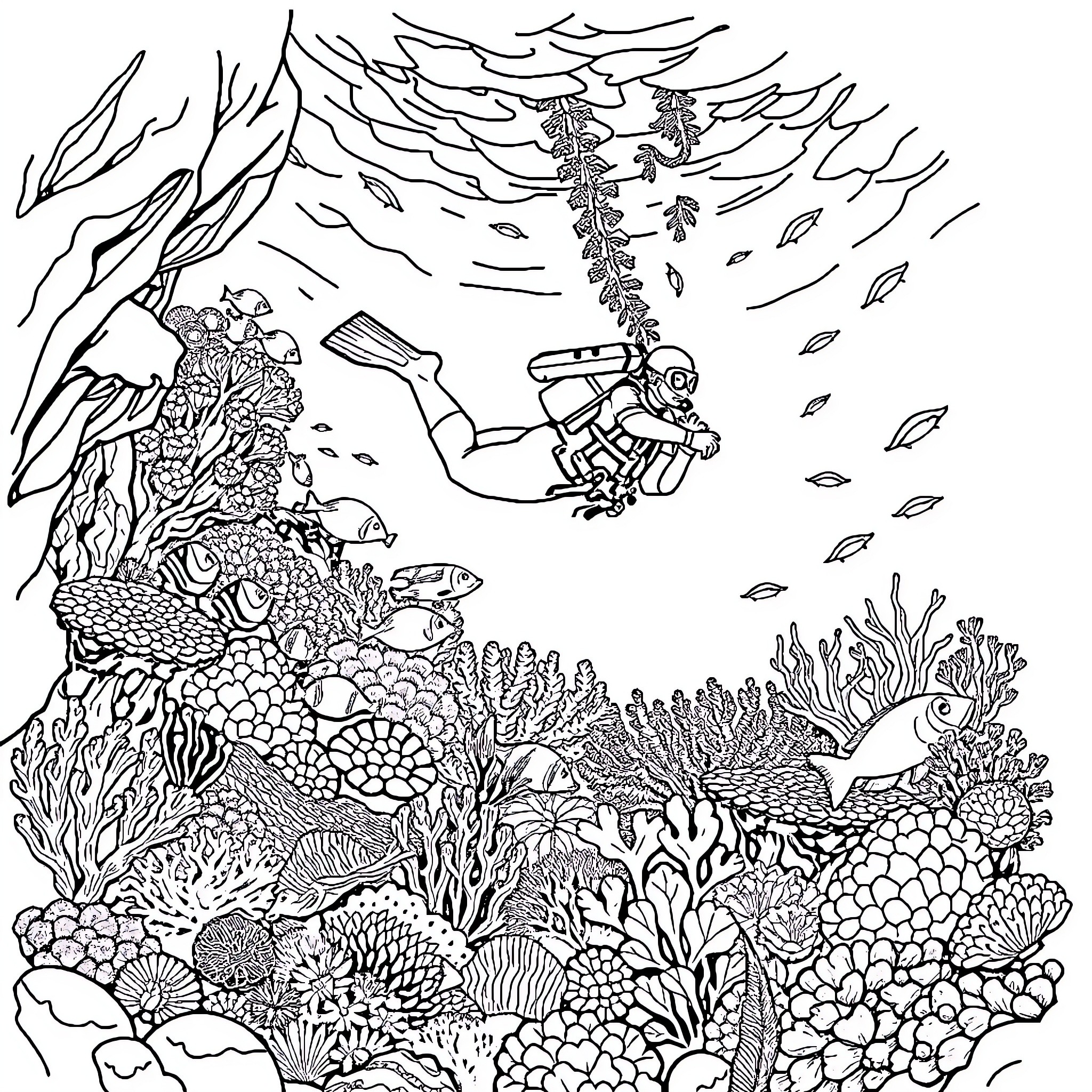Scuba Diver exploring vibrant underwater coral reef Coloring Page (free black-and-white line drawing printable PDF for all, from beginners to advanced learners, including children, teens, adults, and seniors)