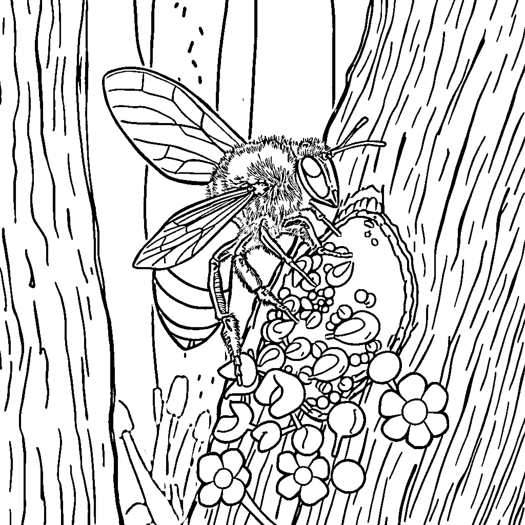 Bee drinking nectar from blooming flowers Coloring Page (free black-and-white line drawing printable PDF for all, from beginners to advanced learners, including children, teens, adults, and seniors)