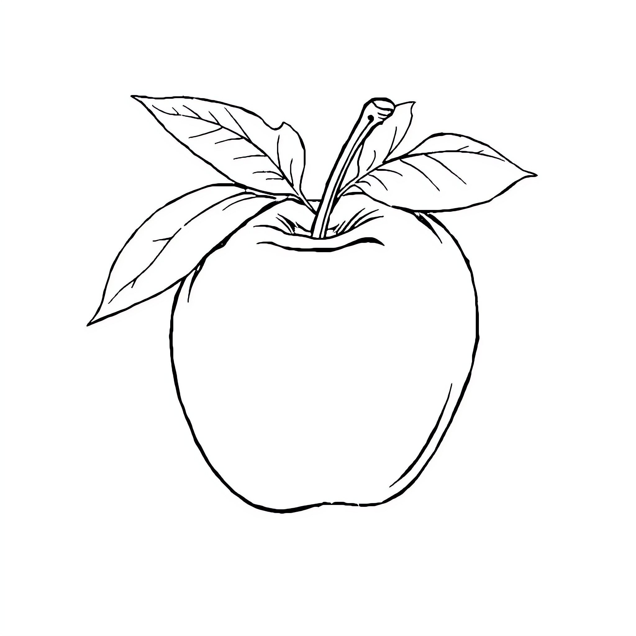 Apple with Detailed Leaves Coloring Page (free black-and-white line drawing printable PDF for all, from beginners to advanced learners, including children, teens, adults, and seniors)