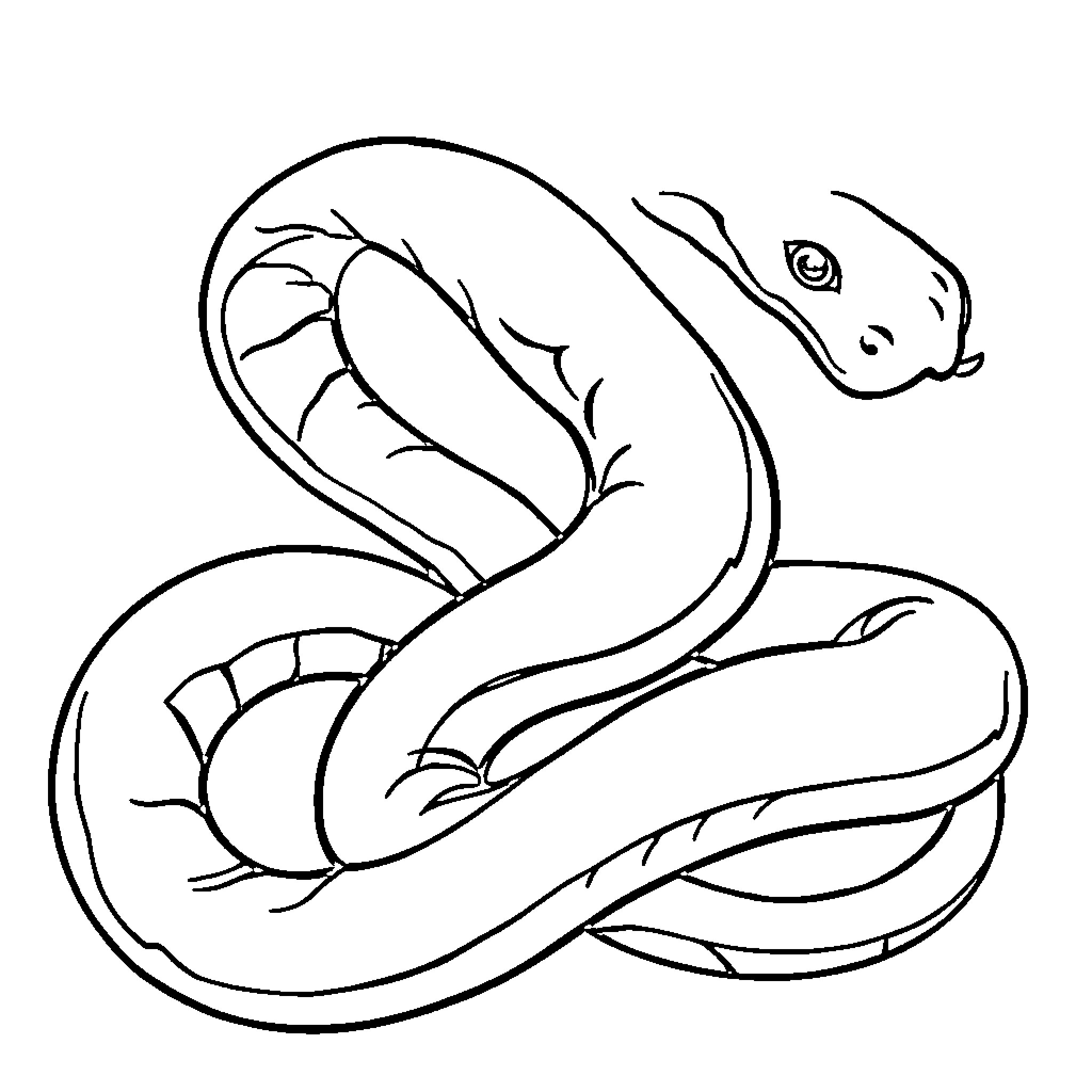 Snake slithering and coiling gracefully Coloring Page (free black-and-white line drawing printable PDF for all, from beginners to advanced learners, including children, teens, adults, and seniors)