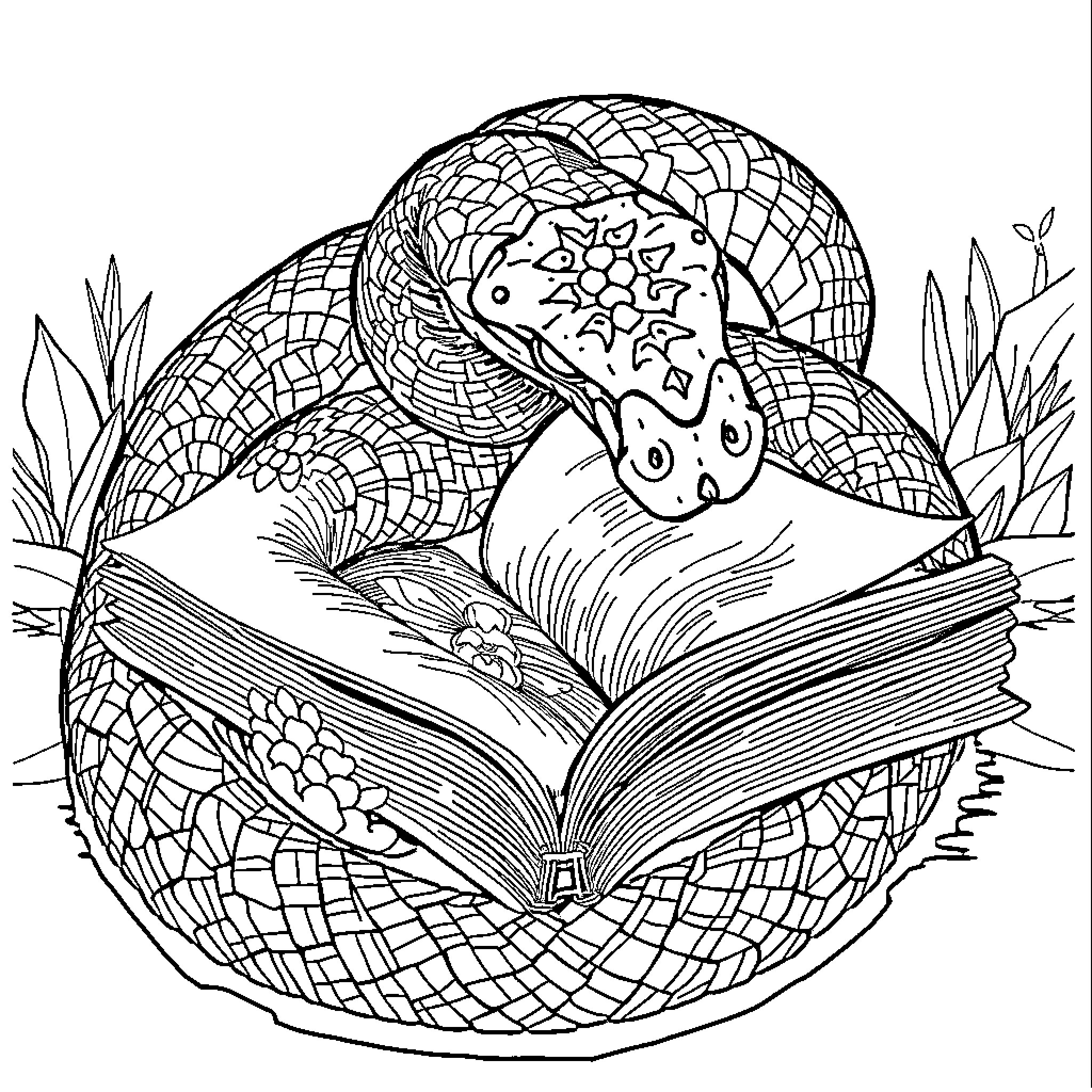Snake Reading a Book in the Garden Coloring Page (free black-and-white line drawing printable PDF for all, from beginners to advanced learners, including children, teens, adults, and seniors)