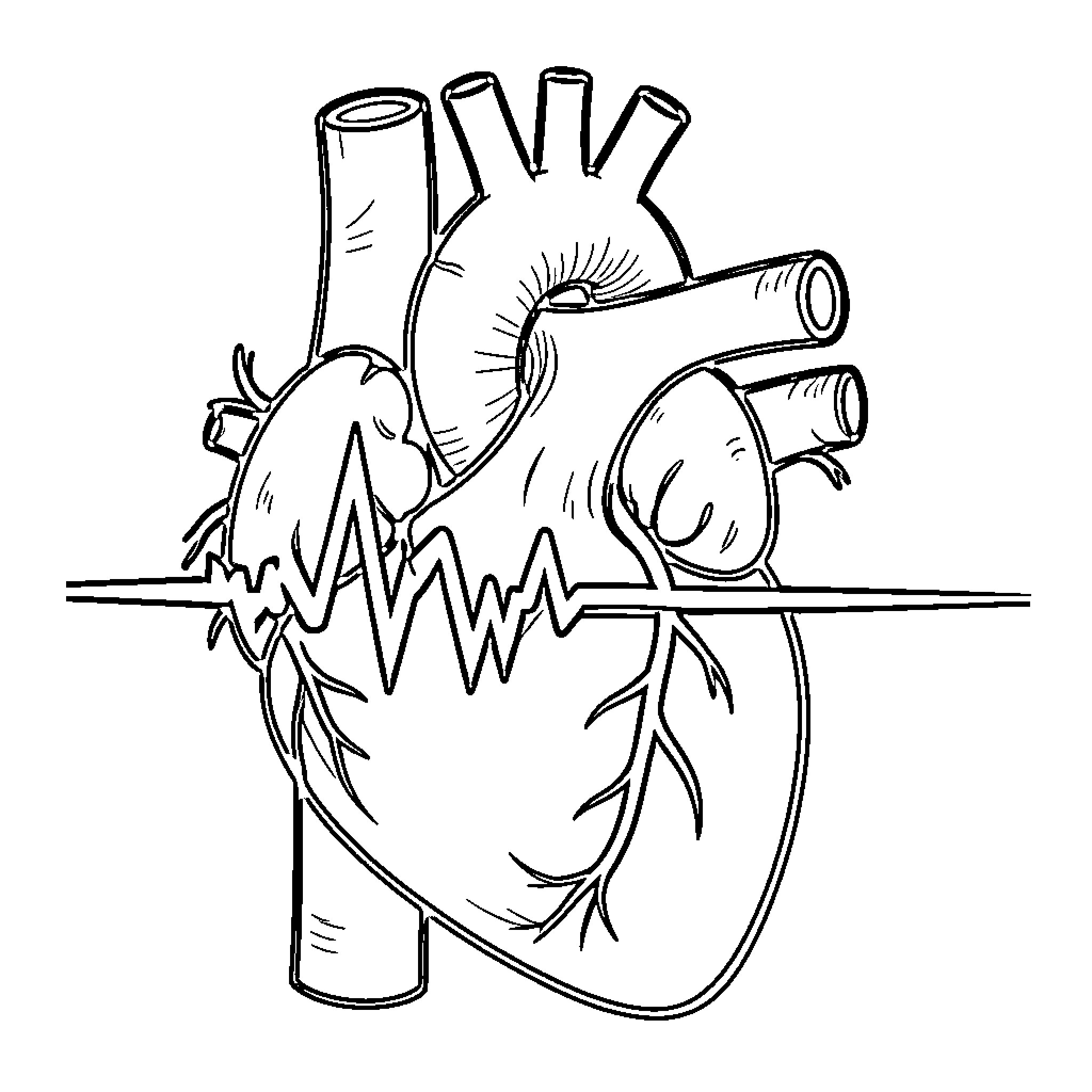 Cardiac Dysrhythmia depicted with an irregular heartbeat line Coloring Page (free black-and-white line drawing printable PDF for all, from beginners to advanced learners, including children, teens, adults, and seniors)
