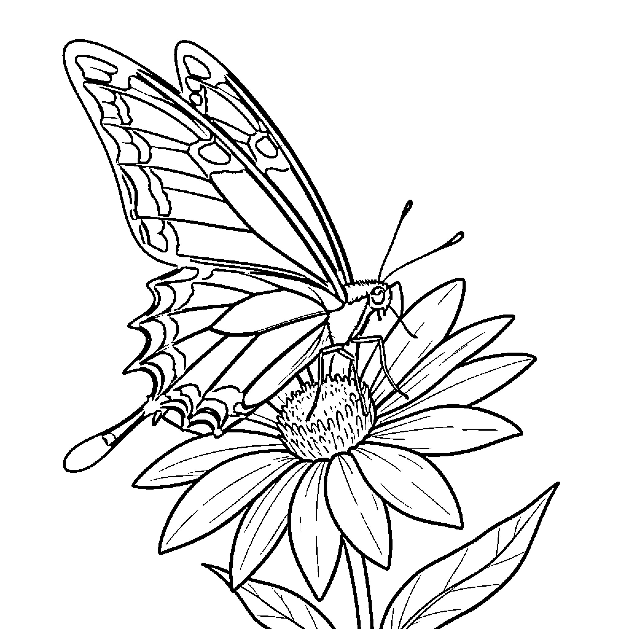 Butterfly resting on a blooming flower Coloring Page (free black-and-white line drawing printable PDF for all, from beginners to advanced learners, including children, teens, adults, and seniors)