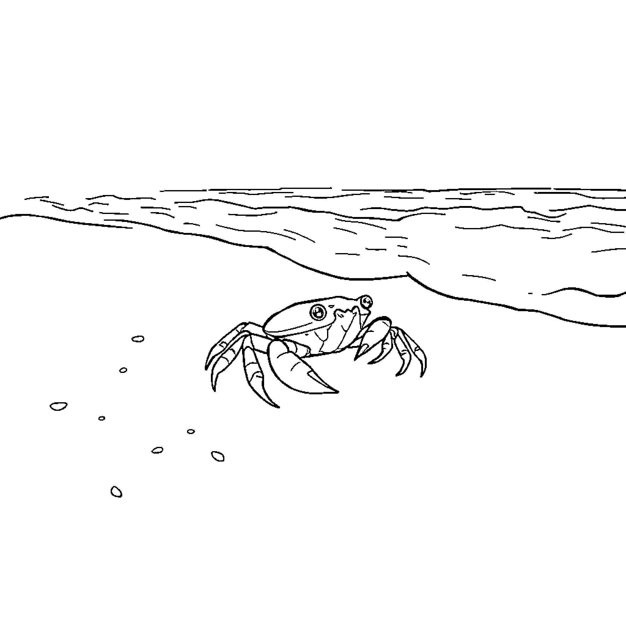 Crab scuttling along the ocean floor Coloring Page (free black-and-white line drawing printable PDF for all, from beginners to advanced learners, including children, teens, adults, and seniors)
