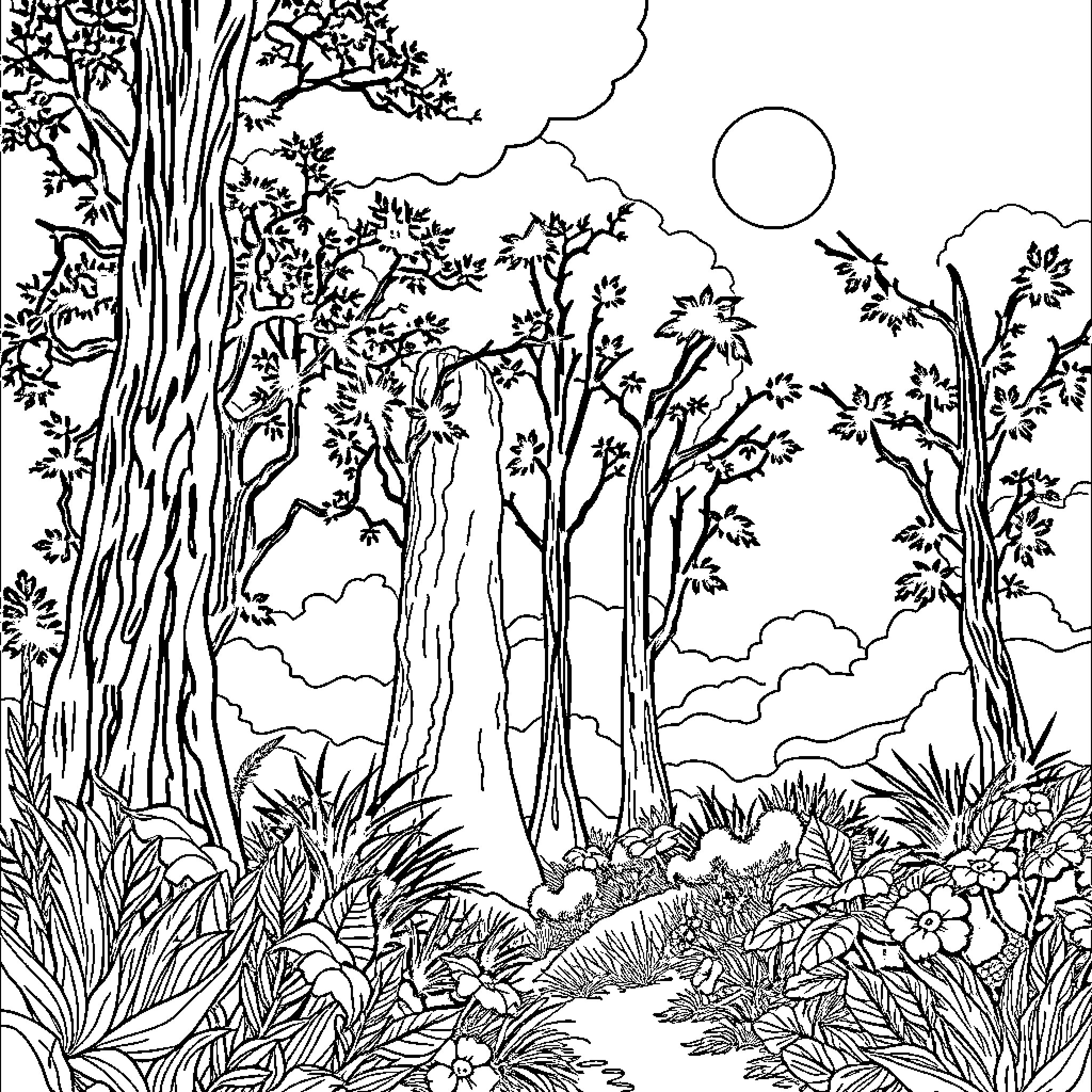 Light and Darkness in the Enchanting Forest Coloring Page (free black-and-white line drawing printable PDF for all, from beginners to advanced learners, including children, teens, adults, and seniors)