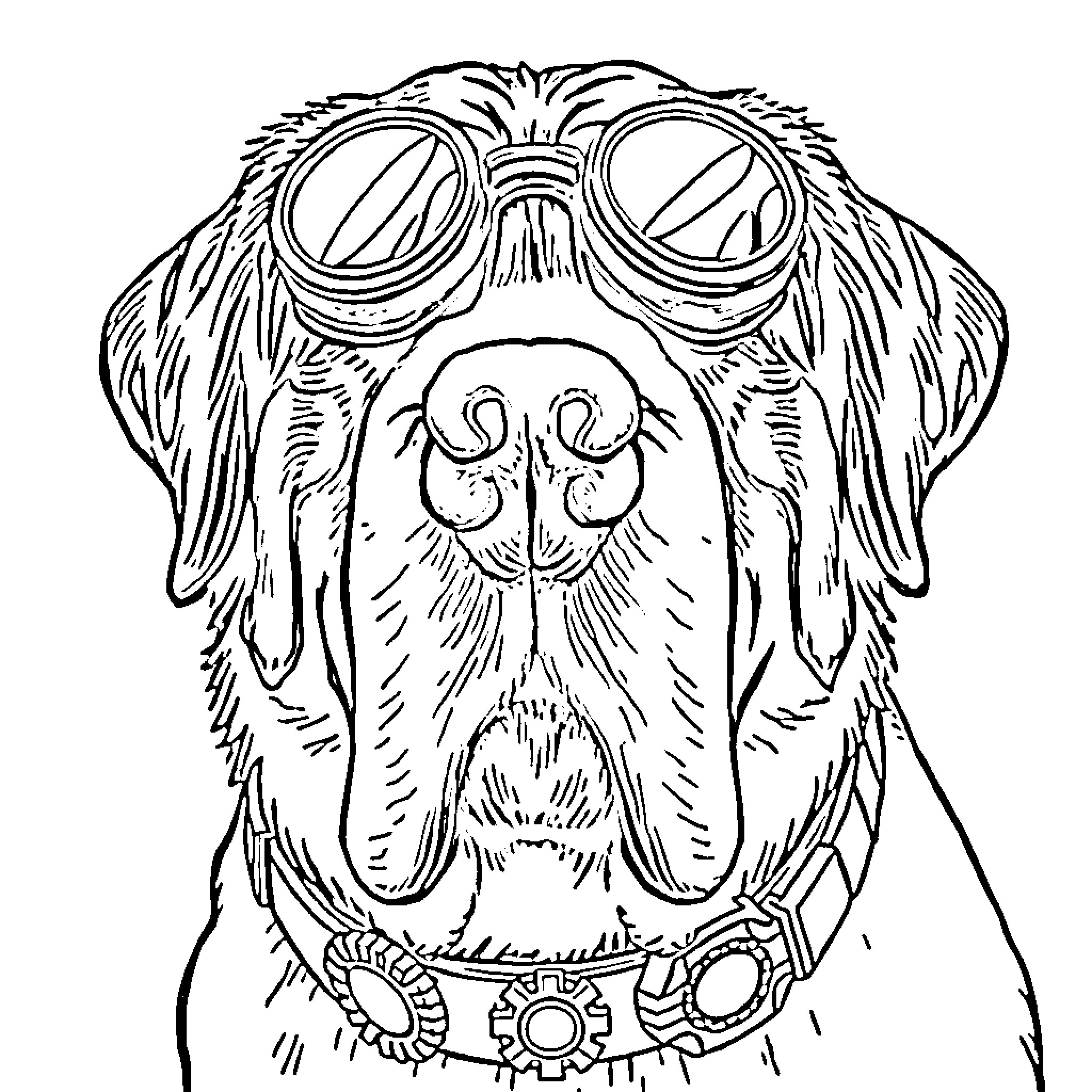 Saint Bernard wearing goggles and exploring gear Coloring Page (free black-and-white line drawing printable PDF for all, from beginners to advanced learners, including children, teens, adults, and seniors)