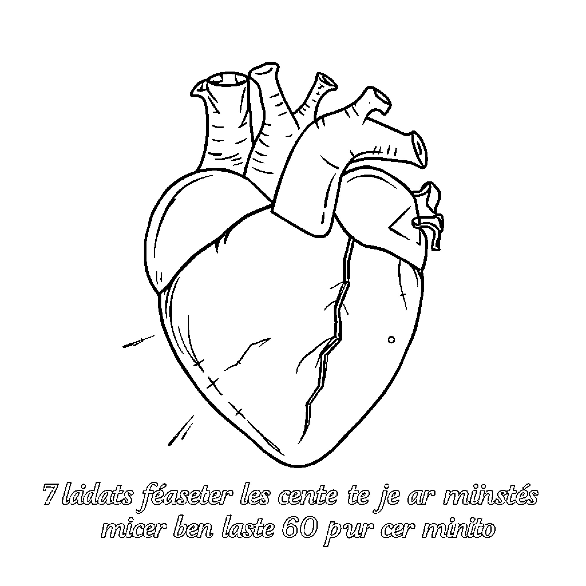 Heart of Anatomical Curiosity Coloring Page (free black-and-white line drawing printable PDF for all, from beginners to advanced learners, including children, teens, adults, and seniors)