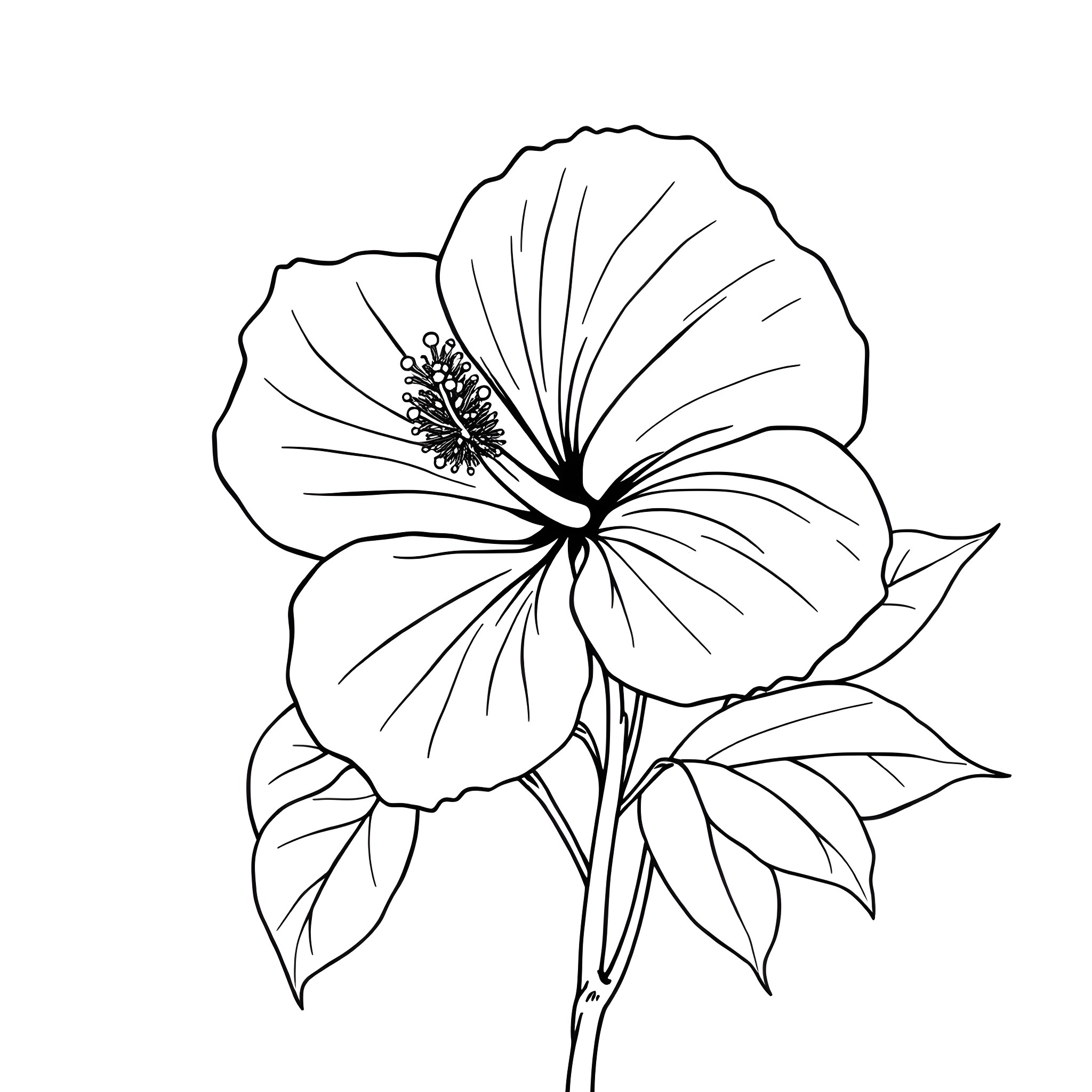 Hibiscus flower in black and white Coloring Page (free black-and-white line drawing printable PDF for all, from beginners to advanced learners, including children, teens, adults, and seniors)