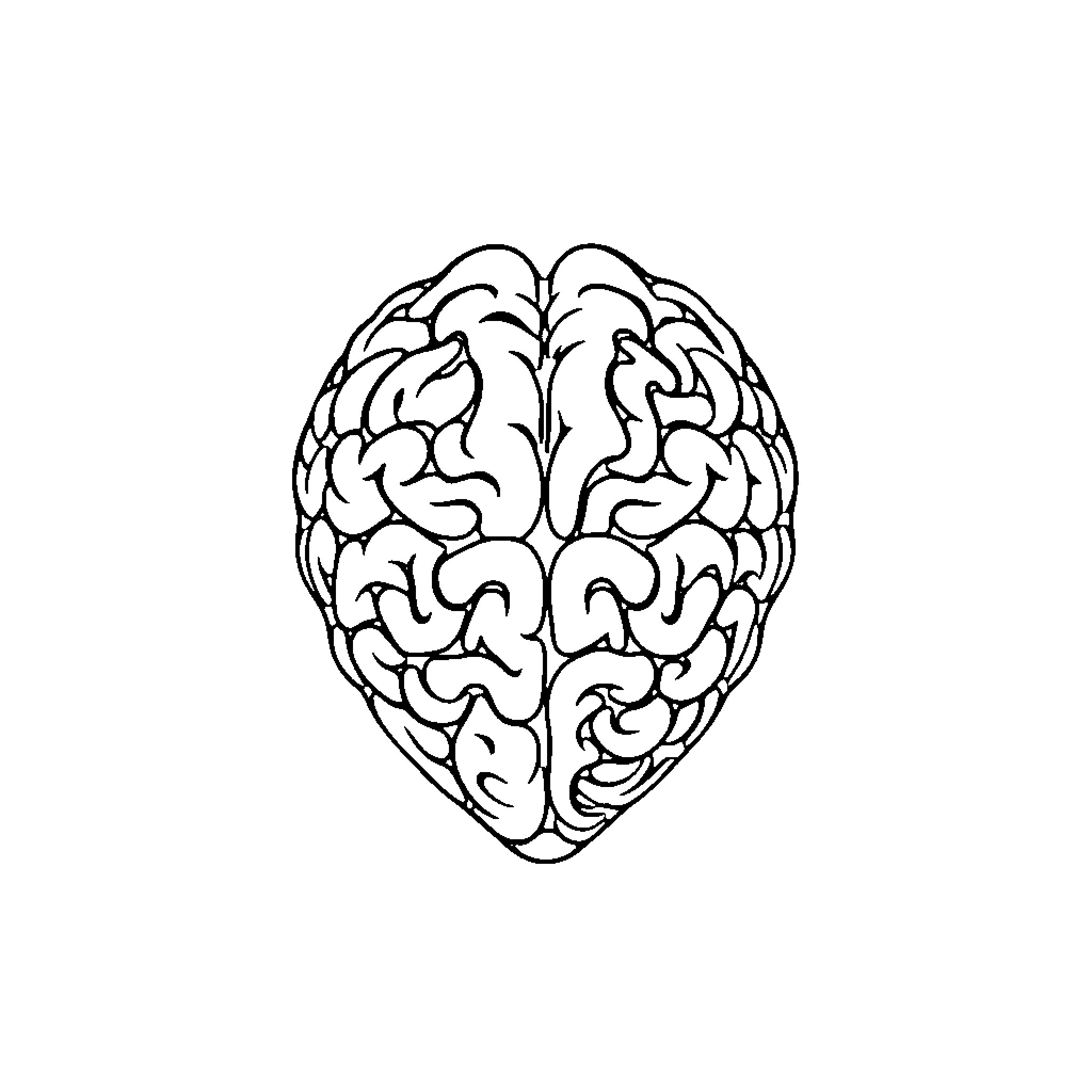 Heart of the Mind: Cerebral Anatomy Coloring Page (free black-and-white line drawing printable PDF for all, from beginners to advanced learners, including children, teens, adults, and seniors)