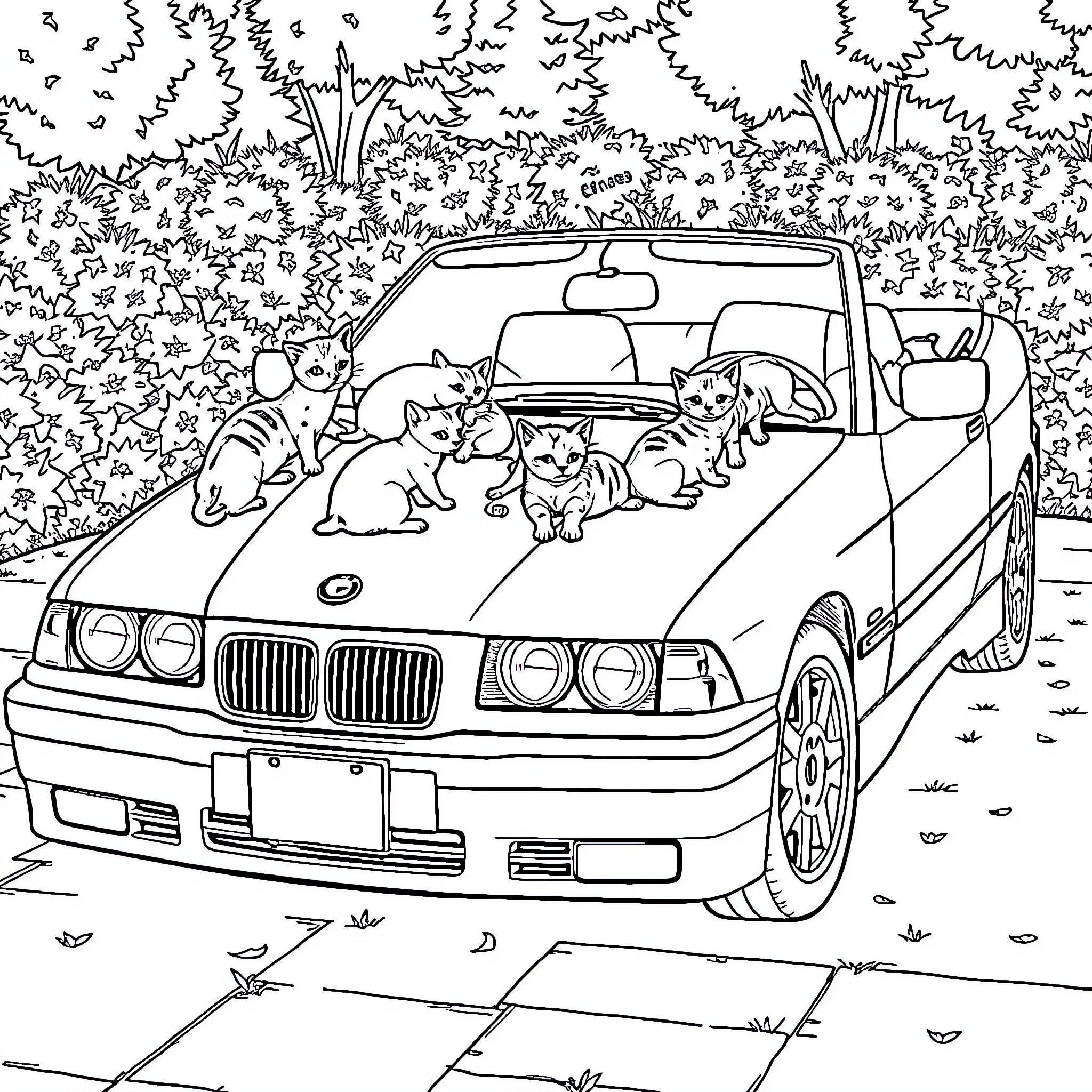 E36 Cats exploring a car in nature Coloring Page (free black-and-white line drawing printable PDF for all, from beginners to advanced learners, including children, teens, adults, and seniors)