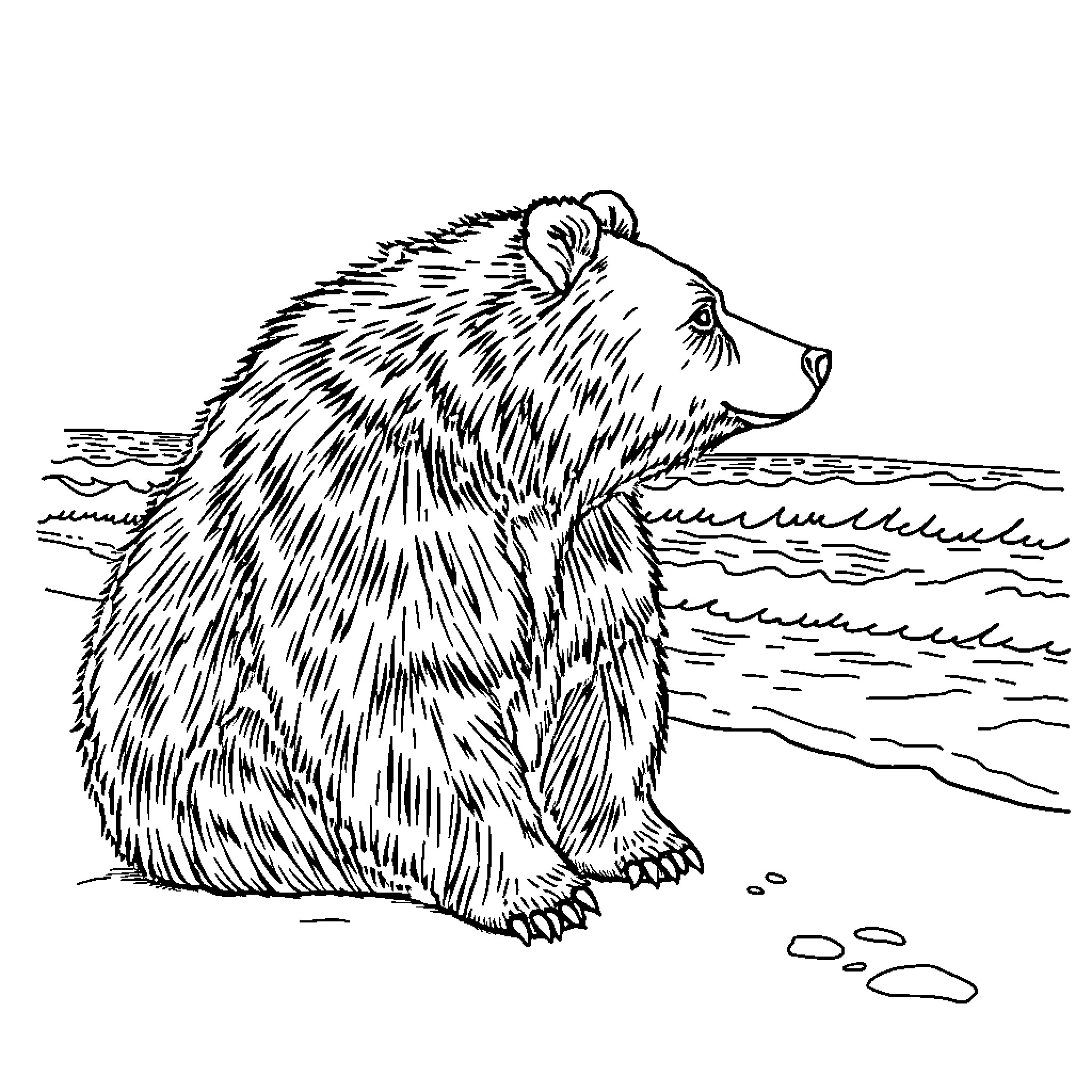 Bear resting peacefully by the water's edge Coloring Page (free black-and-white line drawing printable PDF for all, from beginners to advanced learners, including children, teens, adults, and seniors)