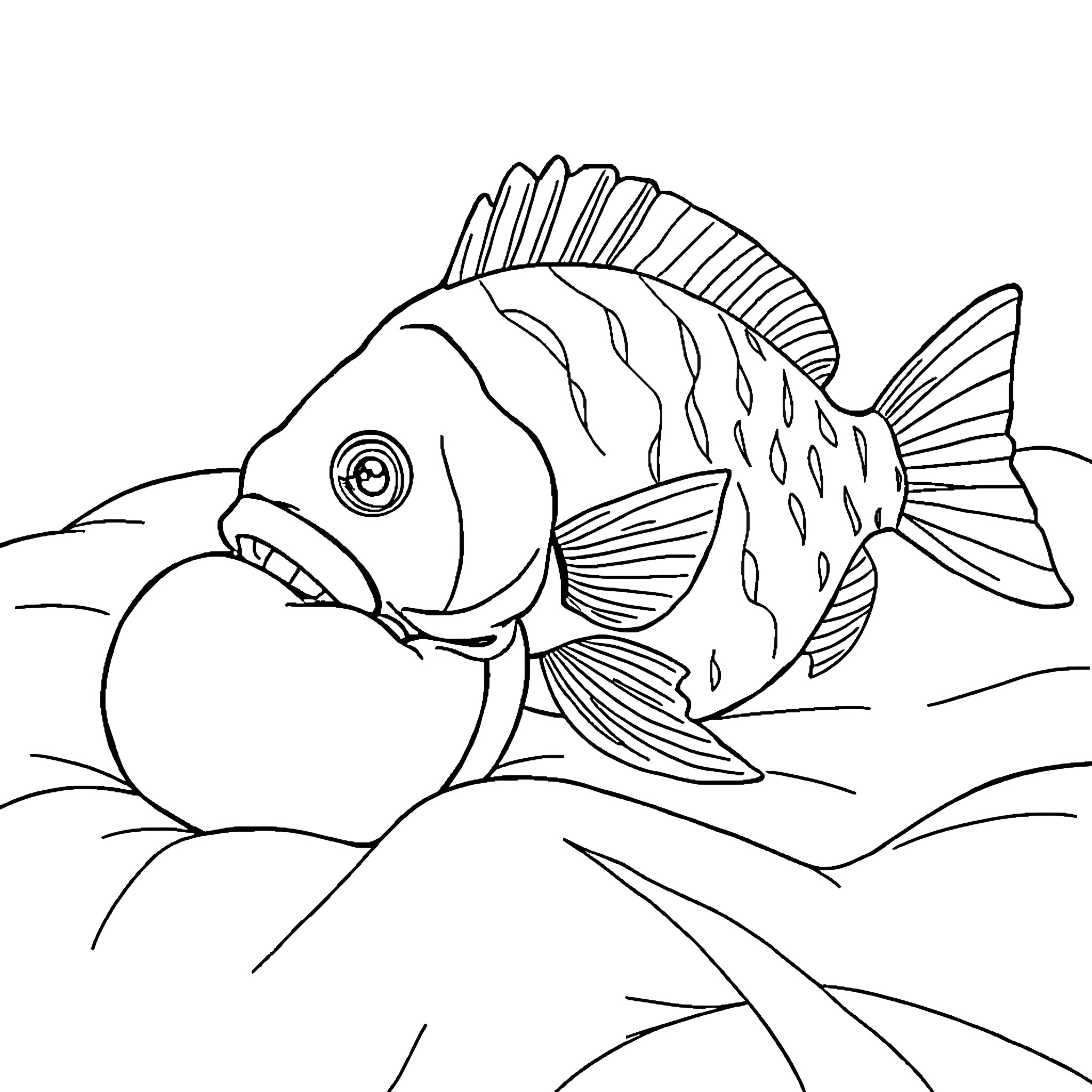 Fish swimming gracefully underwater Coloring Page (free black-and-white line drawing printable PDF for all, from beginners to advanced learners, including children, teens, adults, and seniors)
