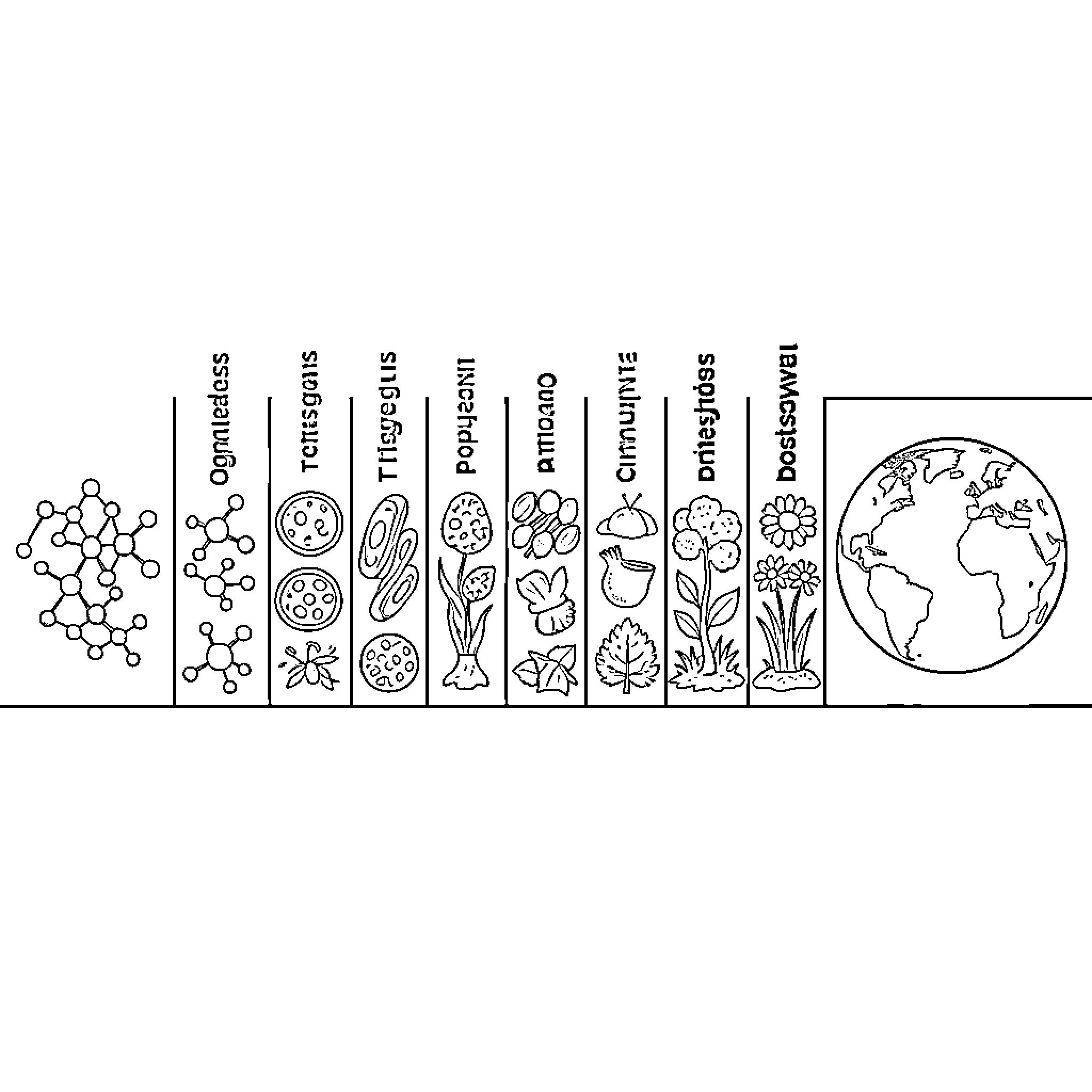 Organization of scientific concepts in a visual diagram Coloring Page (free black-and-white line drawing printable PDF for all, from beginners to advanced learners, including children, teens, adults, and seniors)