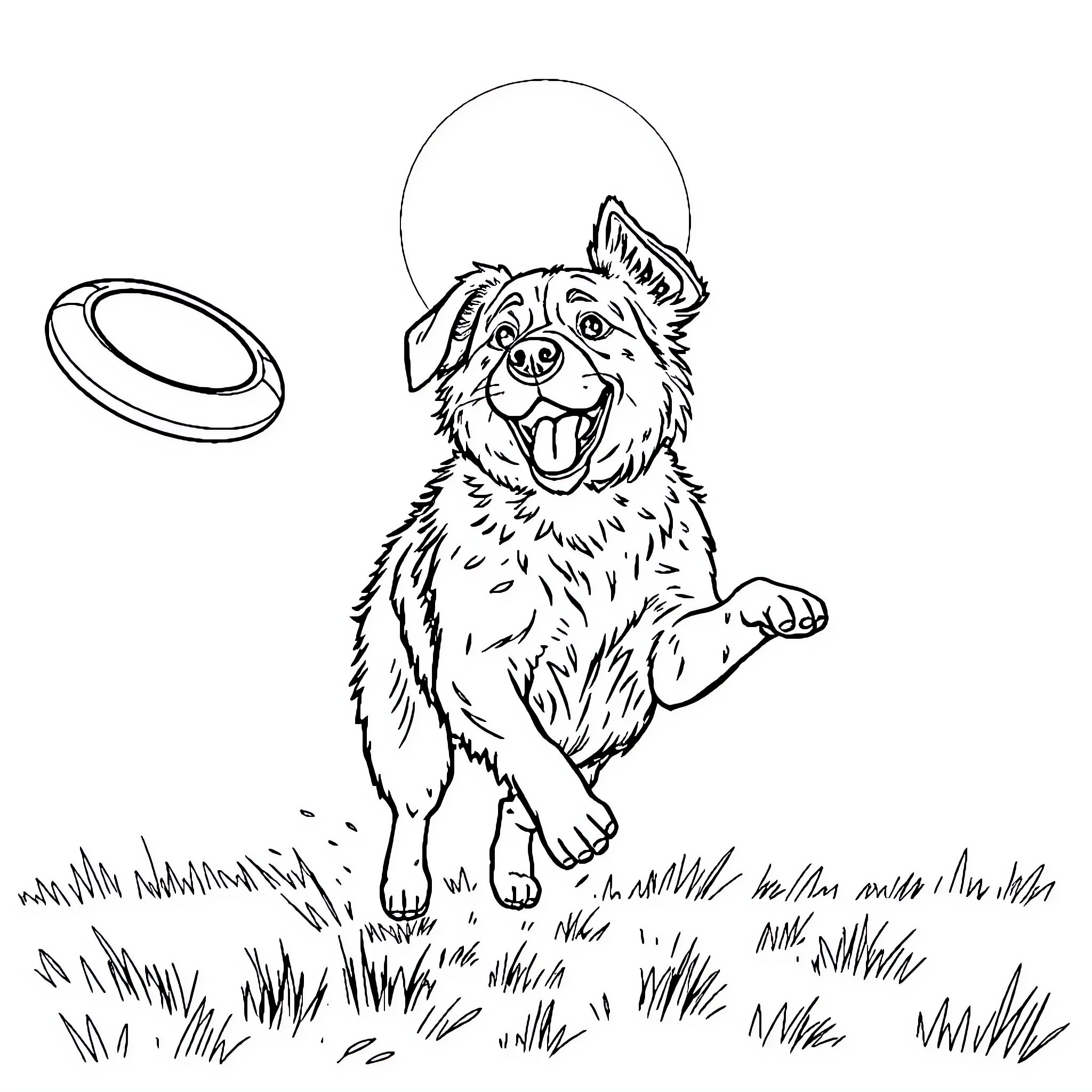 Dog catching frisbee in grassy field Coloring Page (free black-and-white line drawing printable PDF for all, from beginners to advanced learners, including children, teens, adults, and seniors)