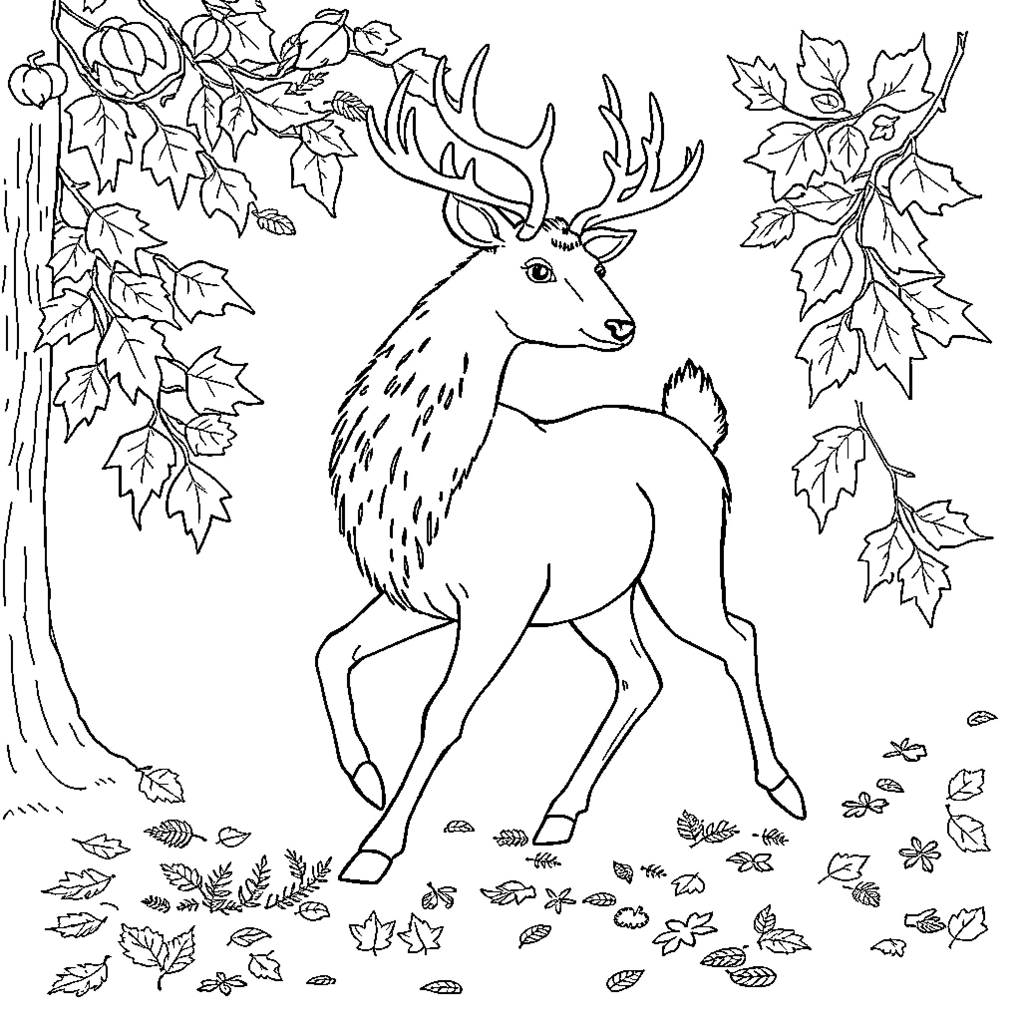 Hedgehog wandering through an autumnal forest scene Coloring Page (free black-and-white line drawing printable PDF for all, from beginners to advanced learners, including children, teens, adults, and seniors)