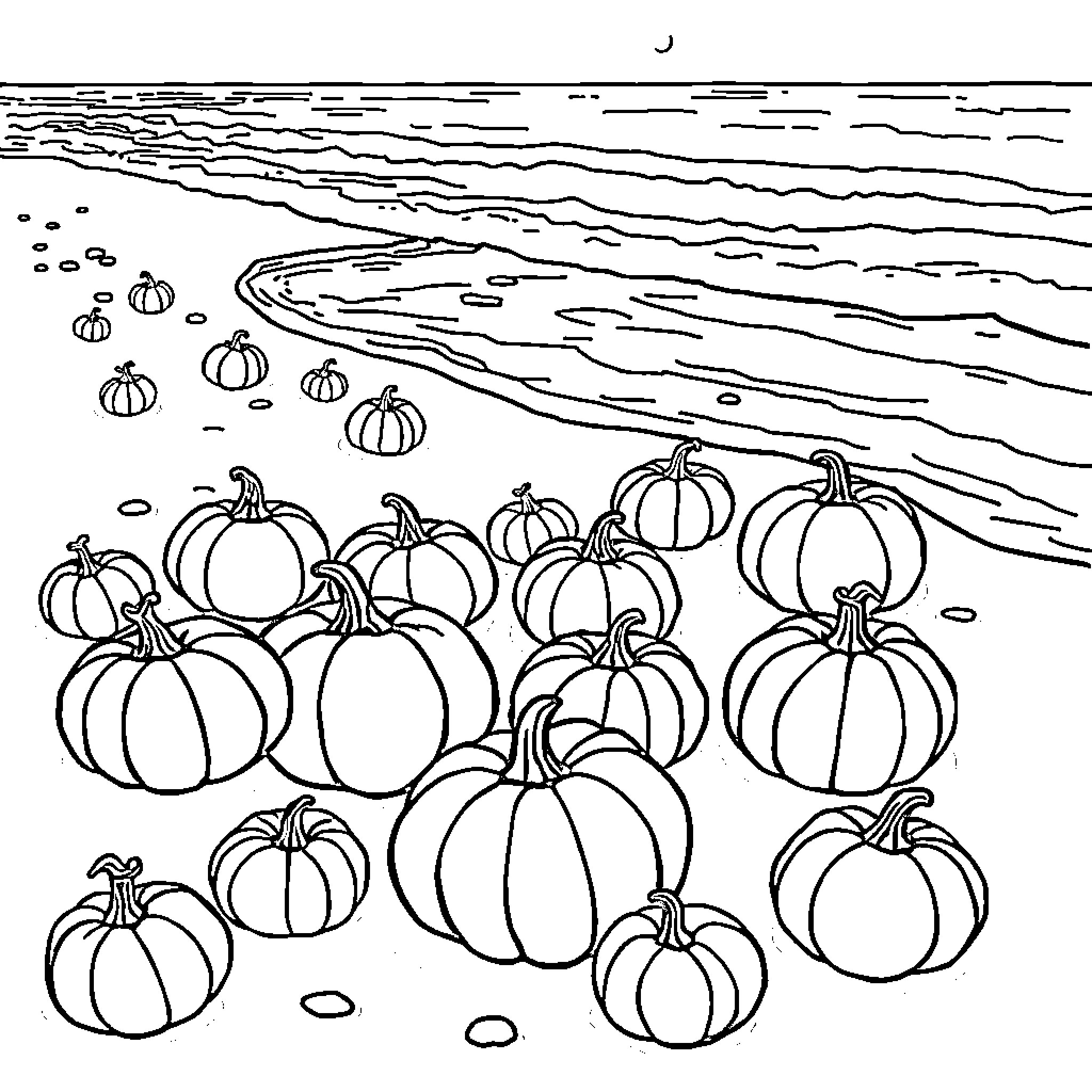 Pumpkins in the moonlit meadow Coloring Page (free black-and-white line drawing printable PDF for all, from beginners to advanced learners, including children, teens, adults, and seniors)