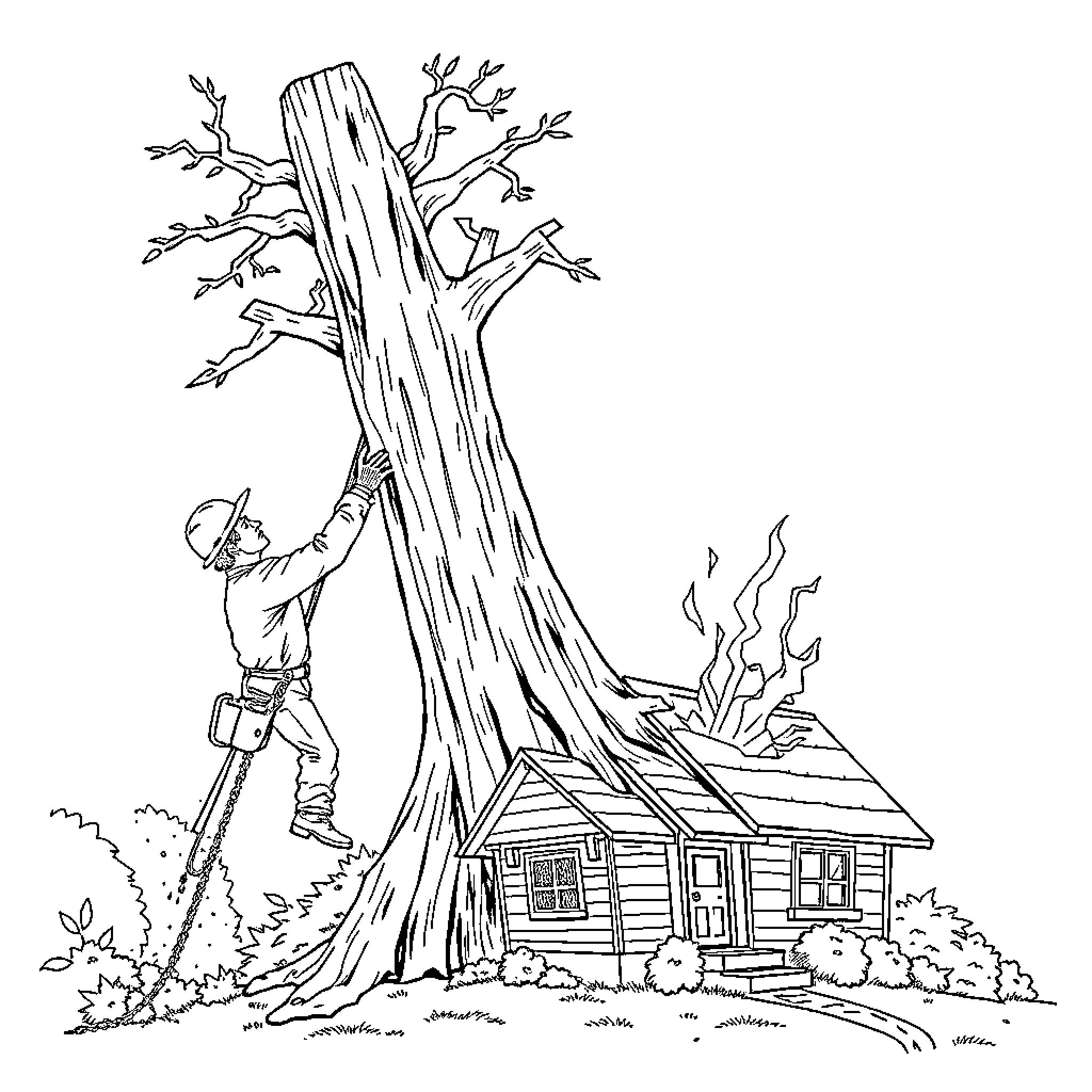 Arborist inspecting damaged tree near rural cabin Coloring Page (free black-and-white line drawing printable PDF for all, from beginners to advanced learners, including children, teens, adults, and seniors)