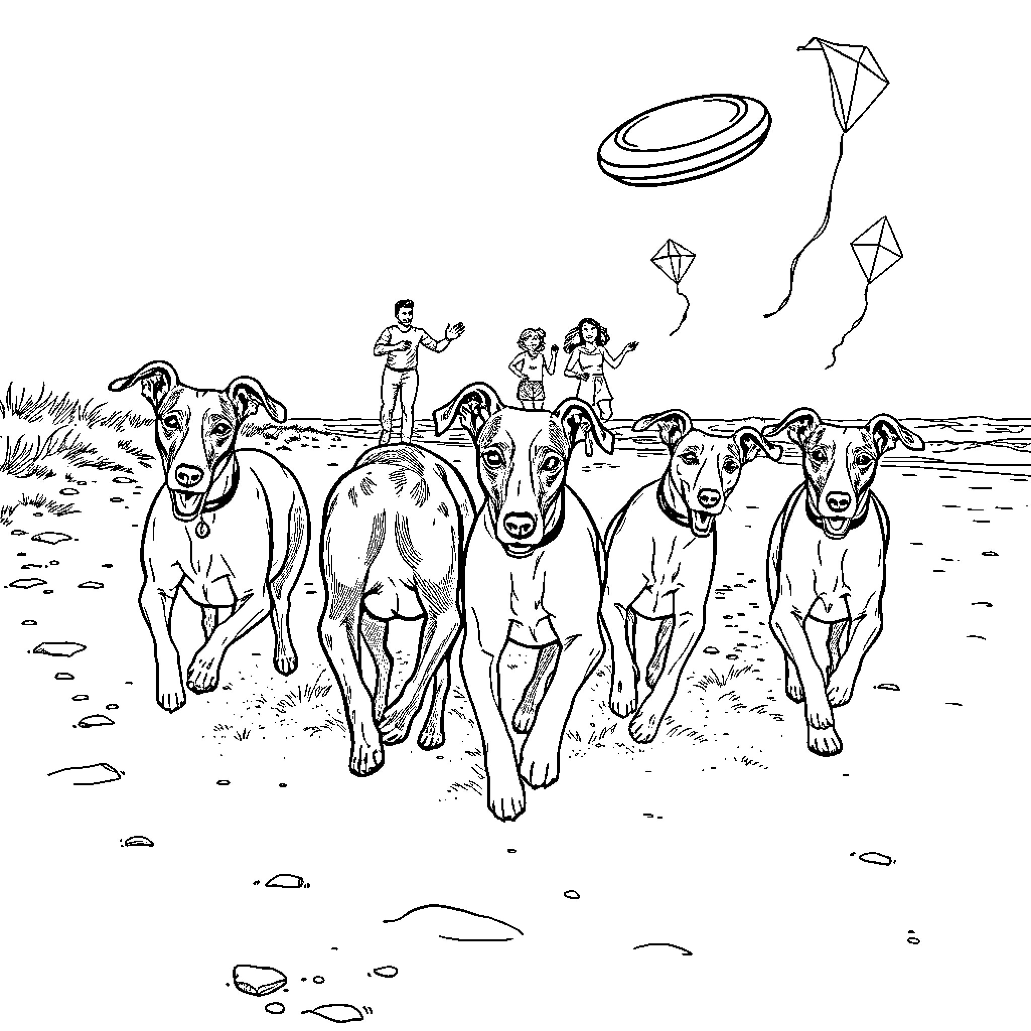 Whippet dogs running and playing on the beach Coloring Page (free black-and-white line drawing printable PDF for all, from beginners to advanced learners, including children, teens, adults, and seniors)