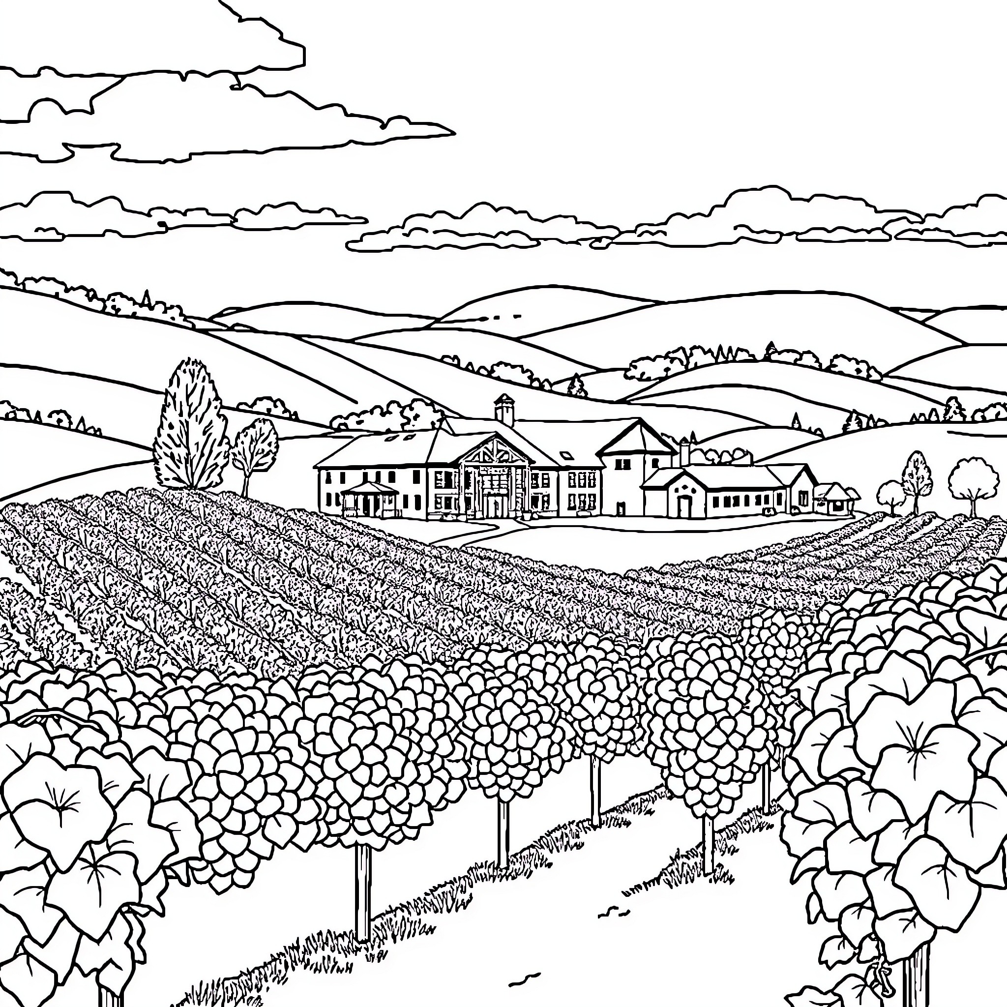 Winery with rural landscape and vineyard scenery Coloring Page (free black-and-white line drawing printable PDF for all, from beginners to advanced learners, including children, teens, adults, and seniors)
