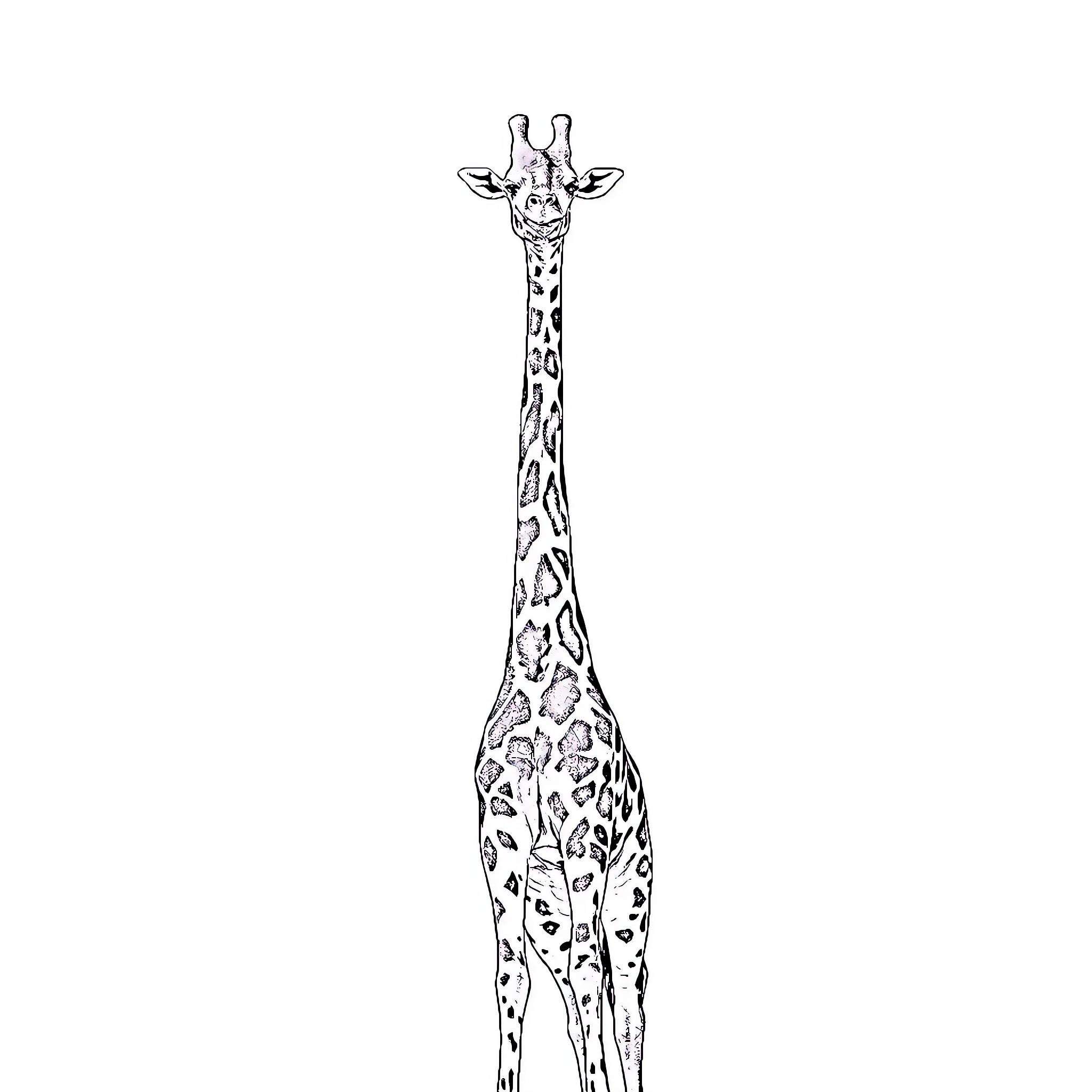 Giraffe standing tall and graceful Coloring Page (free black-and-white line drawing printable PDF for all, from beginners to advanced learners, including children, teens, adults, and seniors)