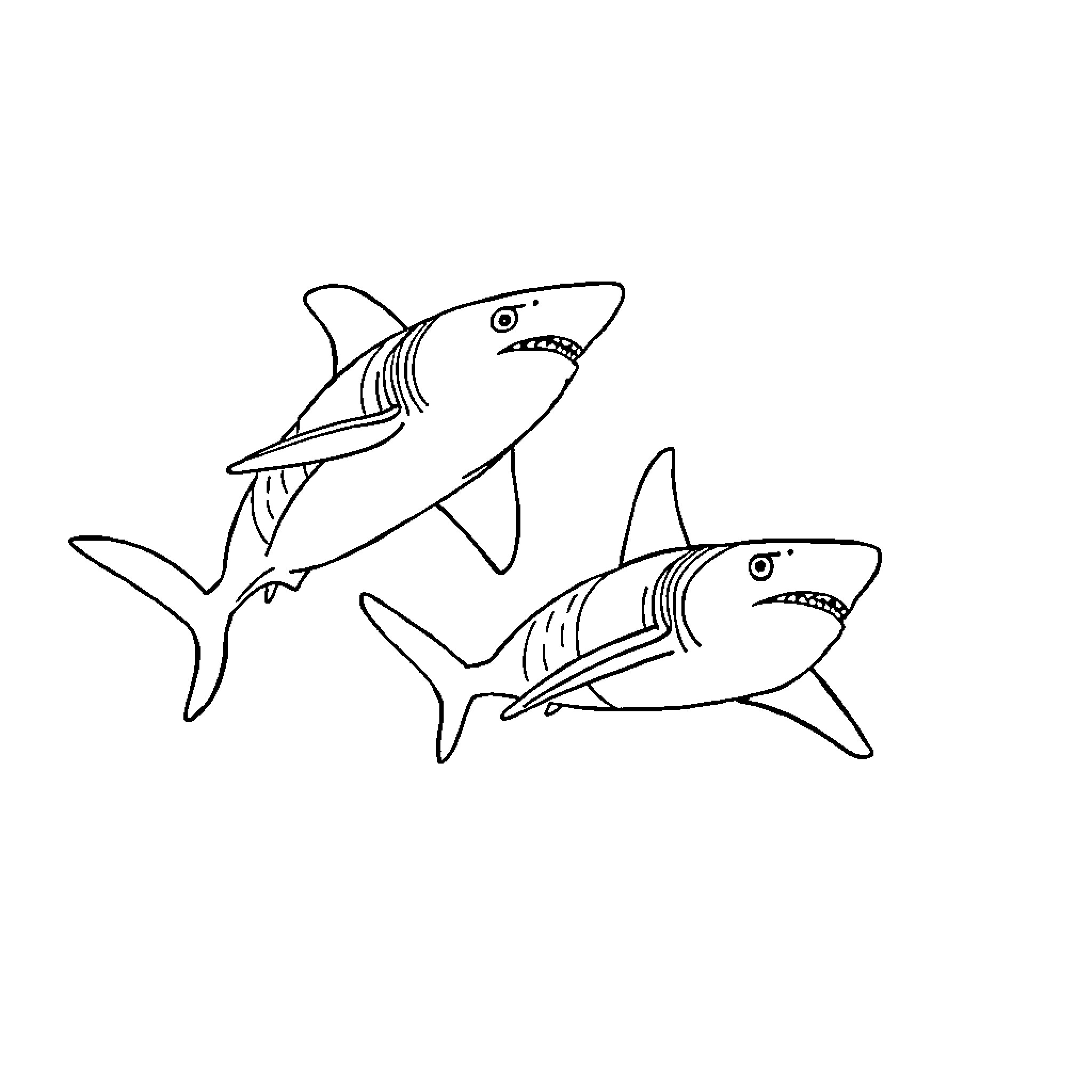 Sharks swimming together Coloring Page (free black-and-white line drawing printable PDF for all, from beginners to advanced learners, including children, teens, adults, and seniors)