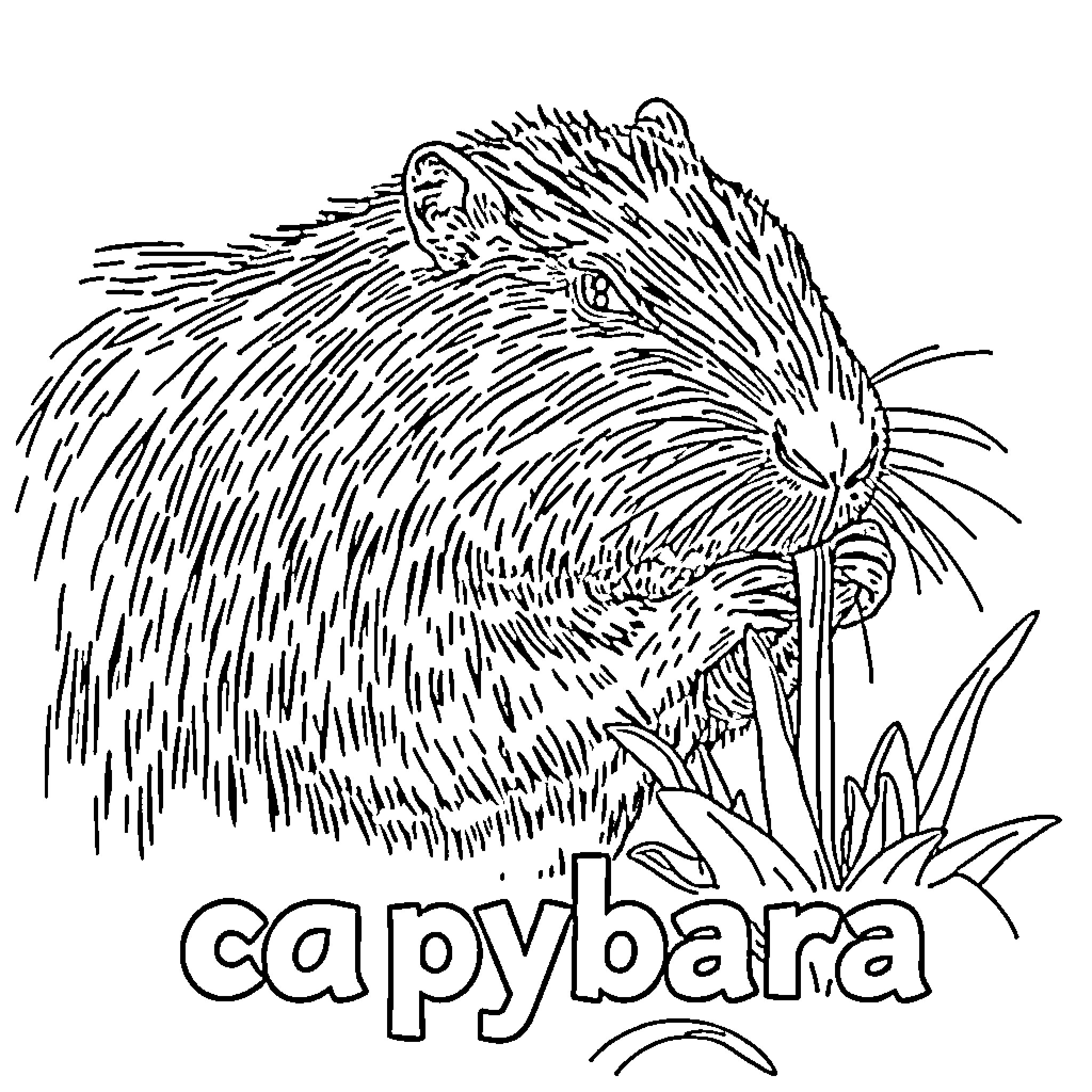 Capybara contemplating nature Coloring Page (free black-and-white line drawing printable PDF for all, from beginners to advanced learners, including children, teens, adults, and seniors)