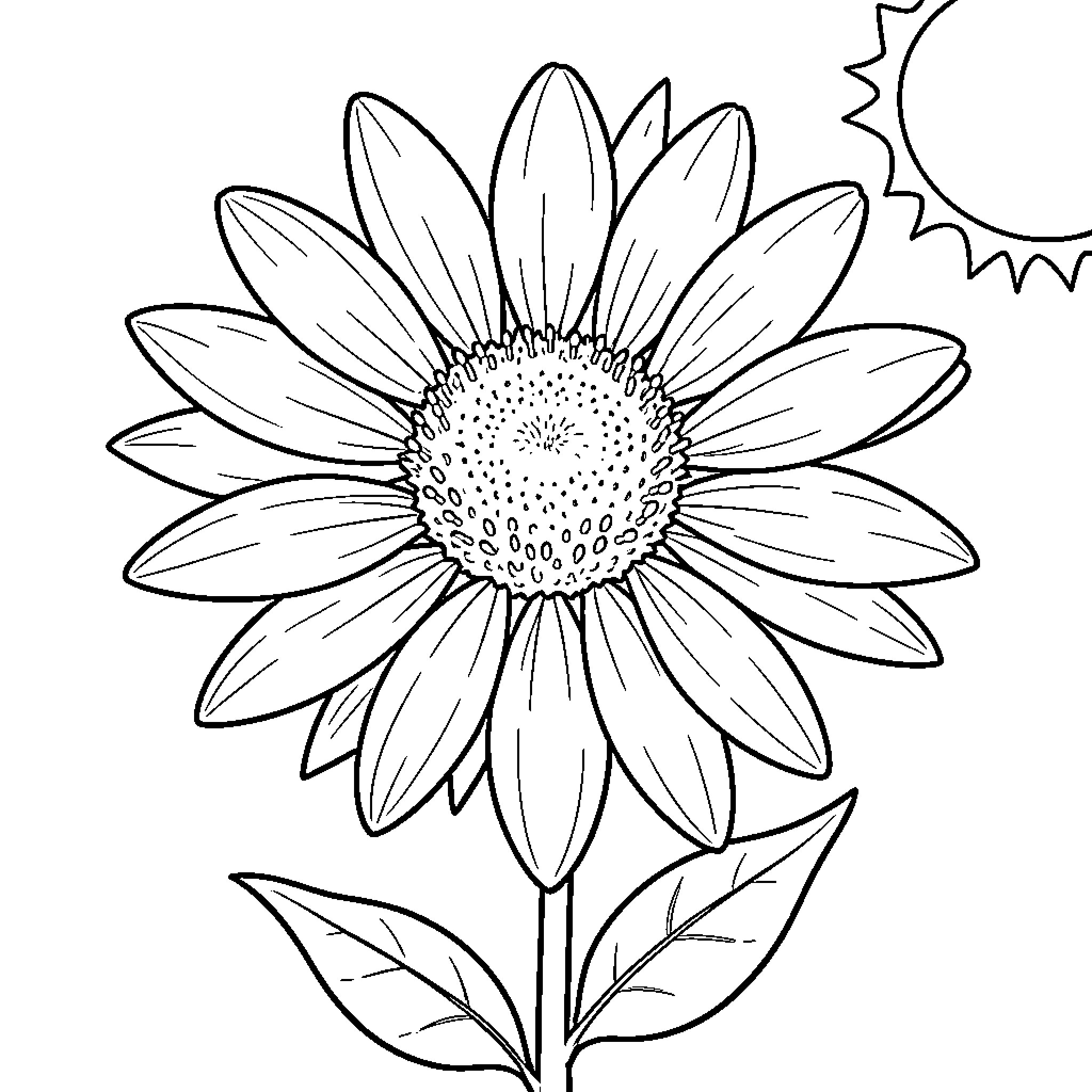 O Ena Sunflower in Bloom Coloring Page (free black-and-white line drawing printable PDF for all, from beginners to advanced learners, including children, teens, adults, and seniors)