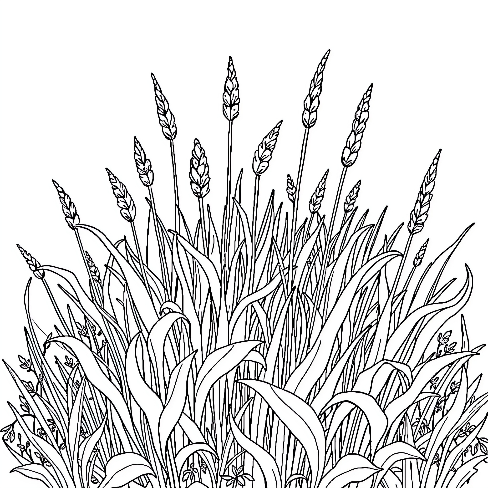 Weed plants thriving in the garden Coloring Page (free black-and-white line drawing printable PDF for all, from beginners to advanced learners, including children, teens, adults, and seniors)