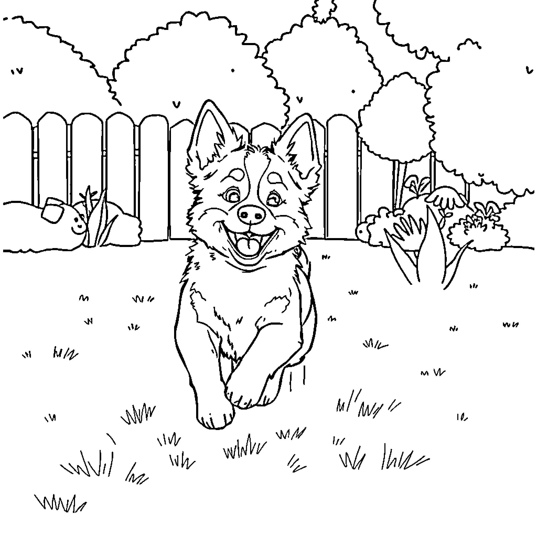 Bluey playing happily in the park Coloring Page (free black-and-white line drawing printable PDF for all, from beginners to advanced learners, including children, teens, adults, and seniors)