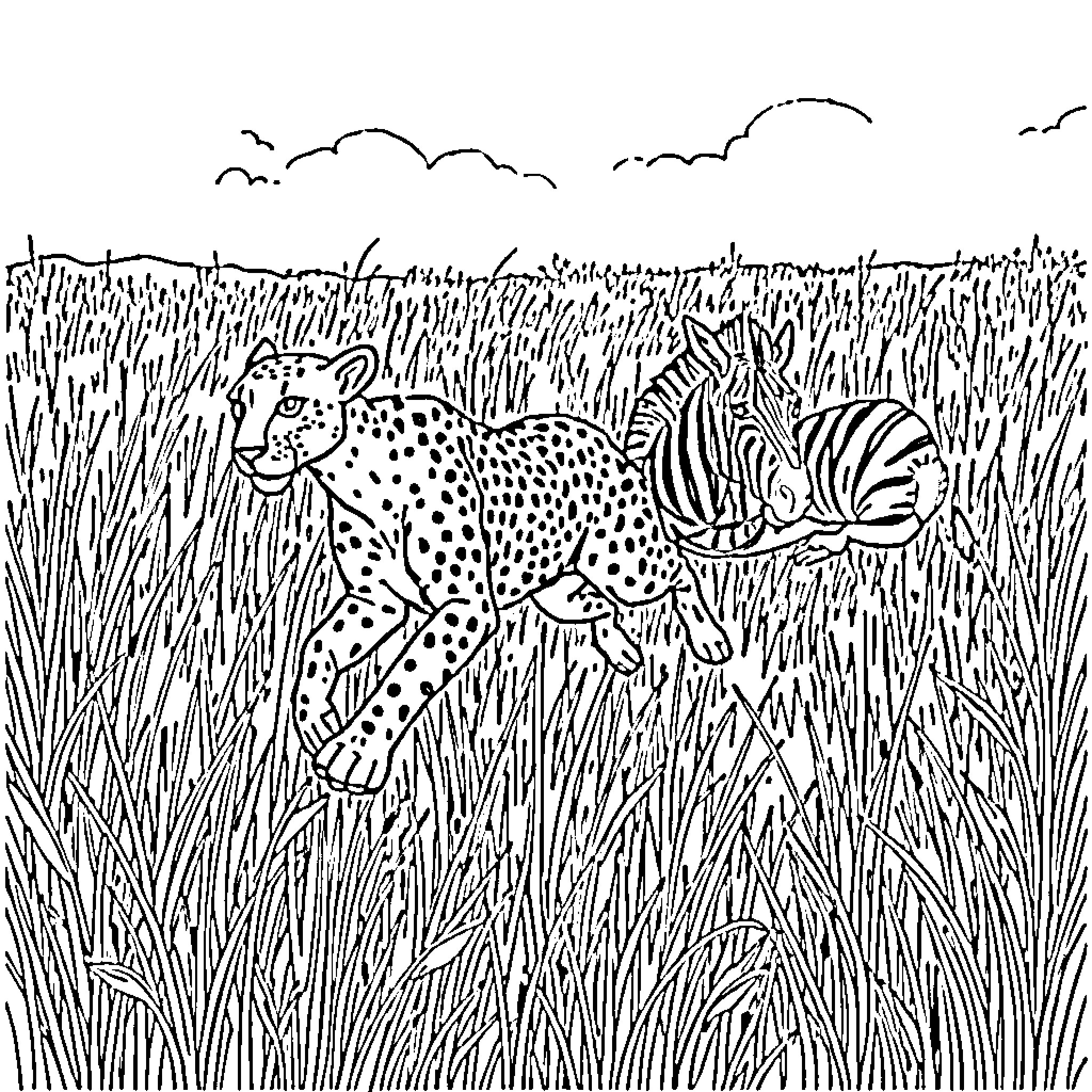 Cheetah chasing fish in tall grass Coloring Page (free black-and-white line drawing printable PDF for all, from beginners to advanced learners, including children, teens, adults, and seniors)