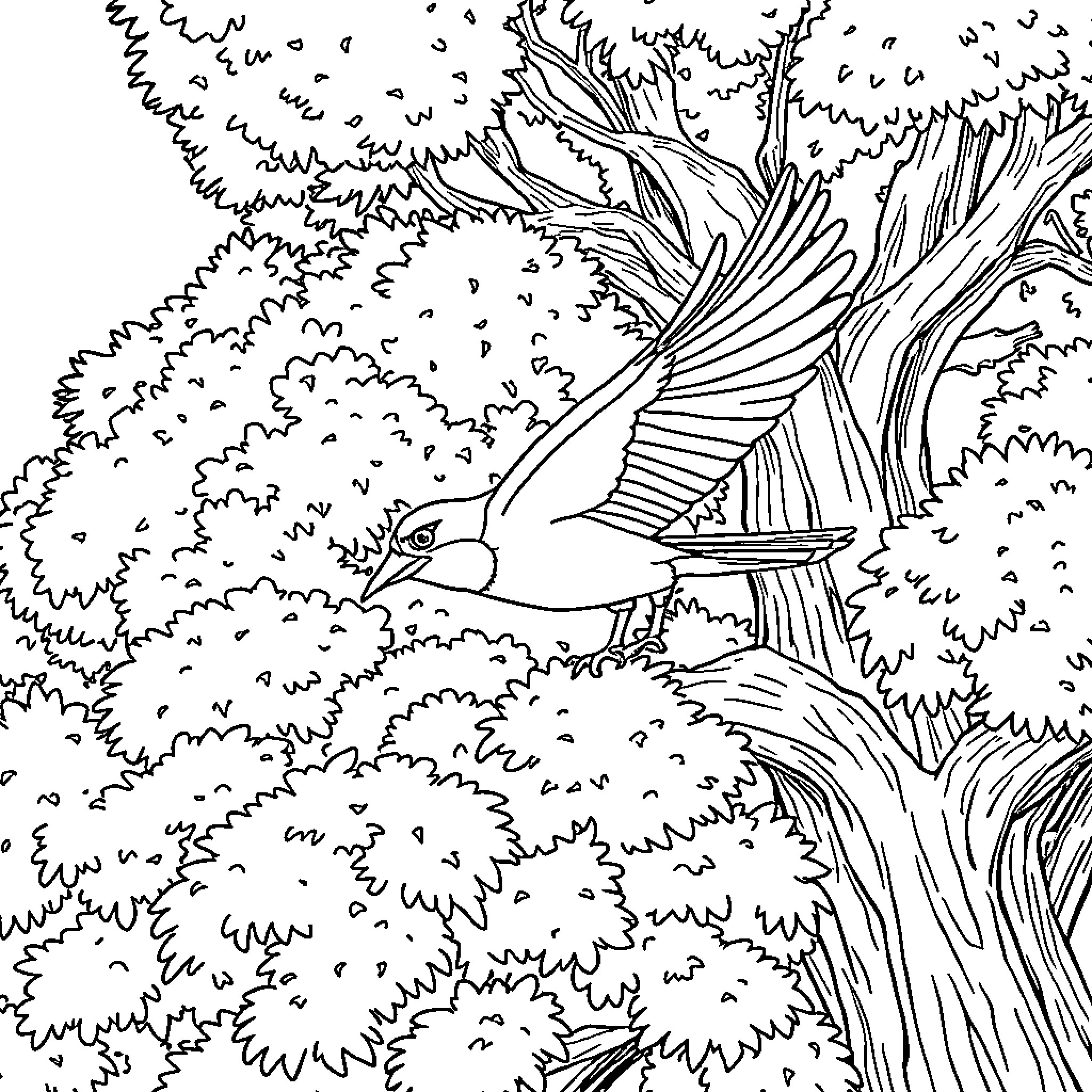 Chase through the Enchanted Forest Coloring Page (free black-and-white line drawing printable PDF for all, from beginners to advanced learners, including children, teens, adults, and seniors)