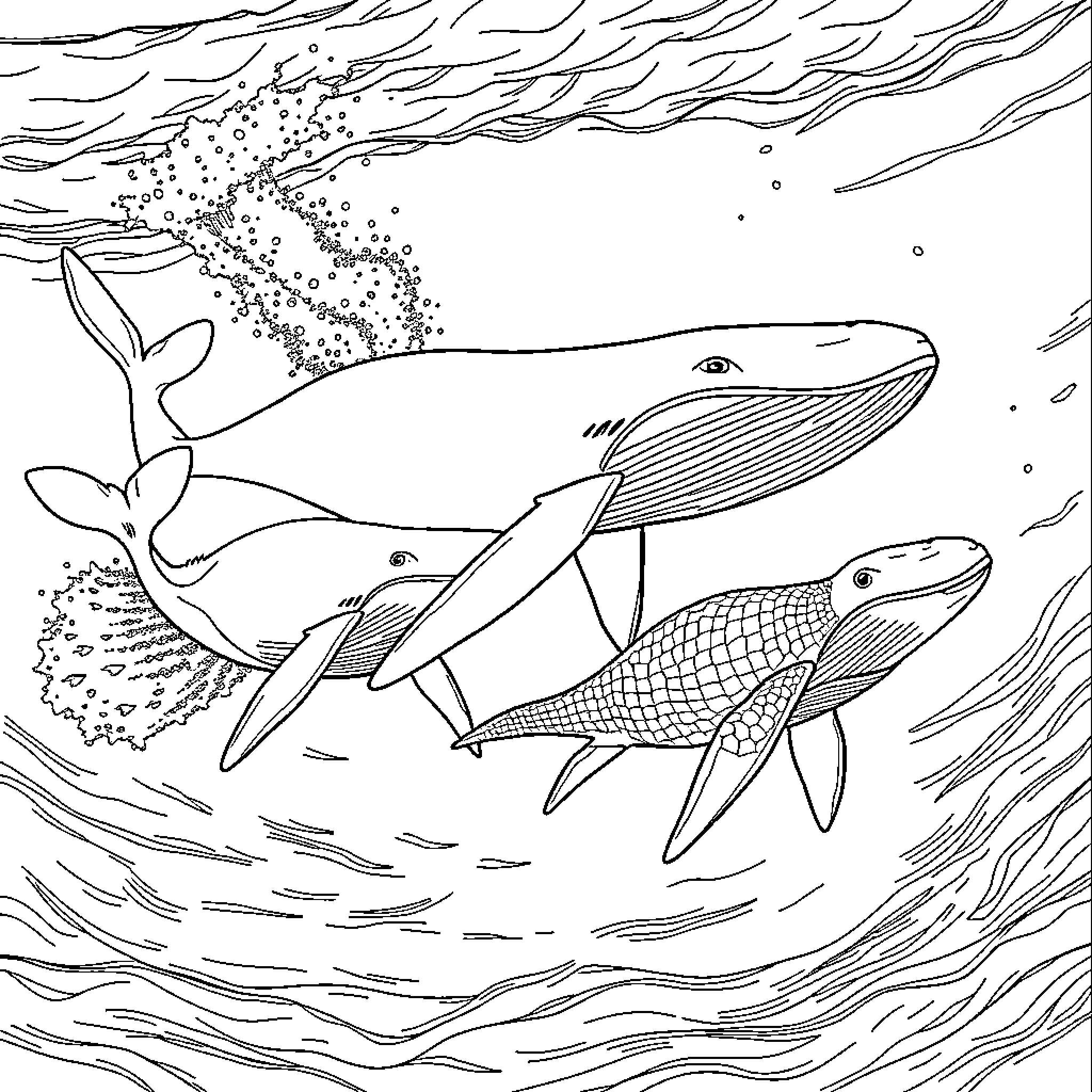 Whales swimming gracefully in the ocean Coloring Page (free black-and-white line drawing printable PDF for all, from beginners to advanced learners, including children, teens, adults, and seniors)