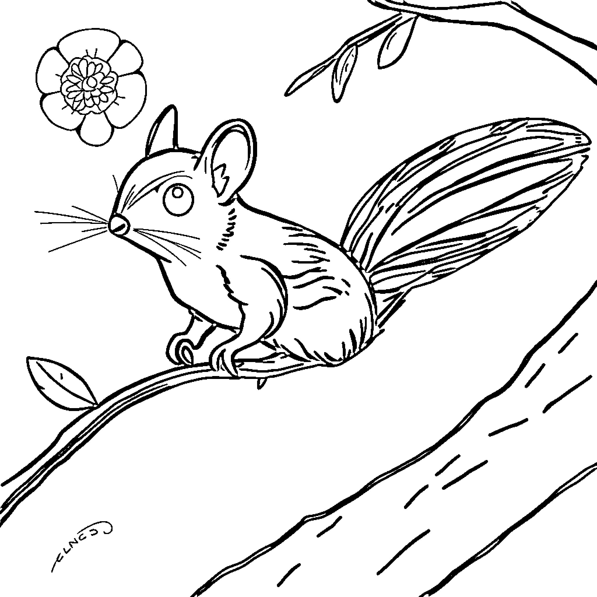Squirrel leaping on branch with flower Coloring Page (free black-and-white line drawing printable PDF for all, from beginners to advanced learners, including children, teens, adults, and seniors)