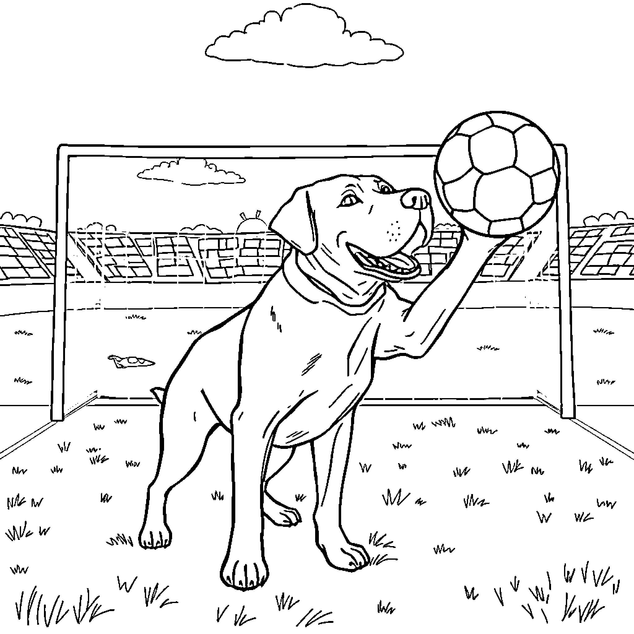 Labrador playing with soccer ball on the field Coloring Page (free black-and-white line drawing printable PDF for all, from beginners to advanced learners, including children, teens, adults, and seniors)