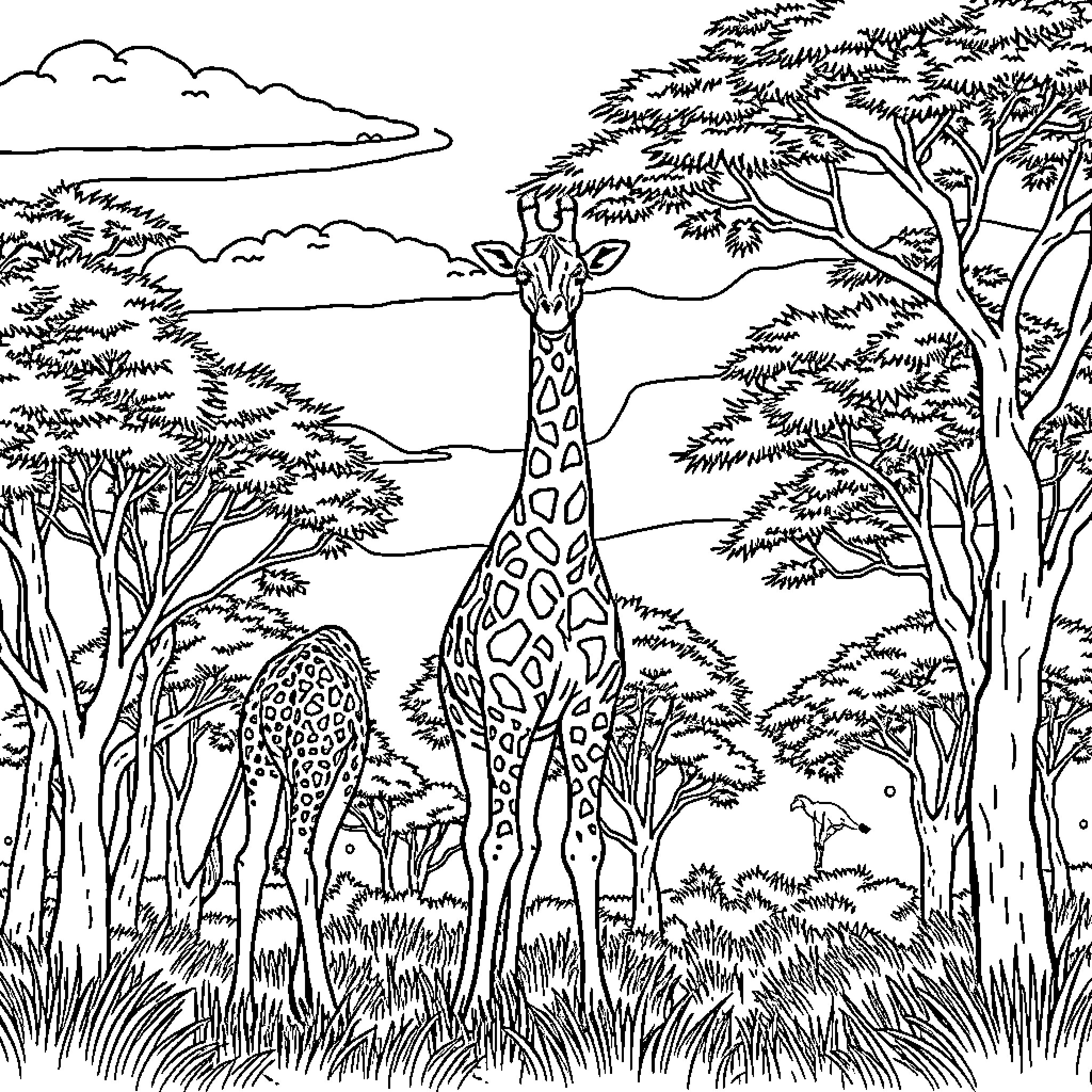 Giraffe standing tall in the savannah Coloring Page (free black-and-white line drawing printable PDF for all, from beginners to advanced learners, including children, teens, adults, and seniors)