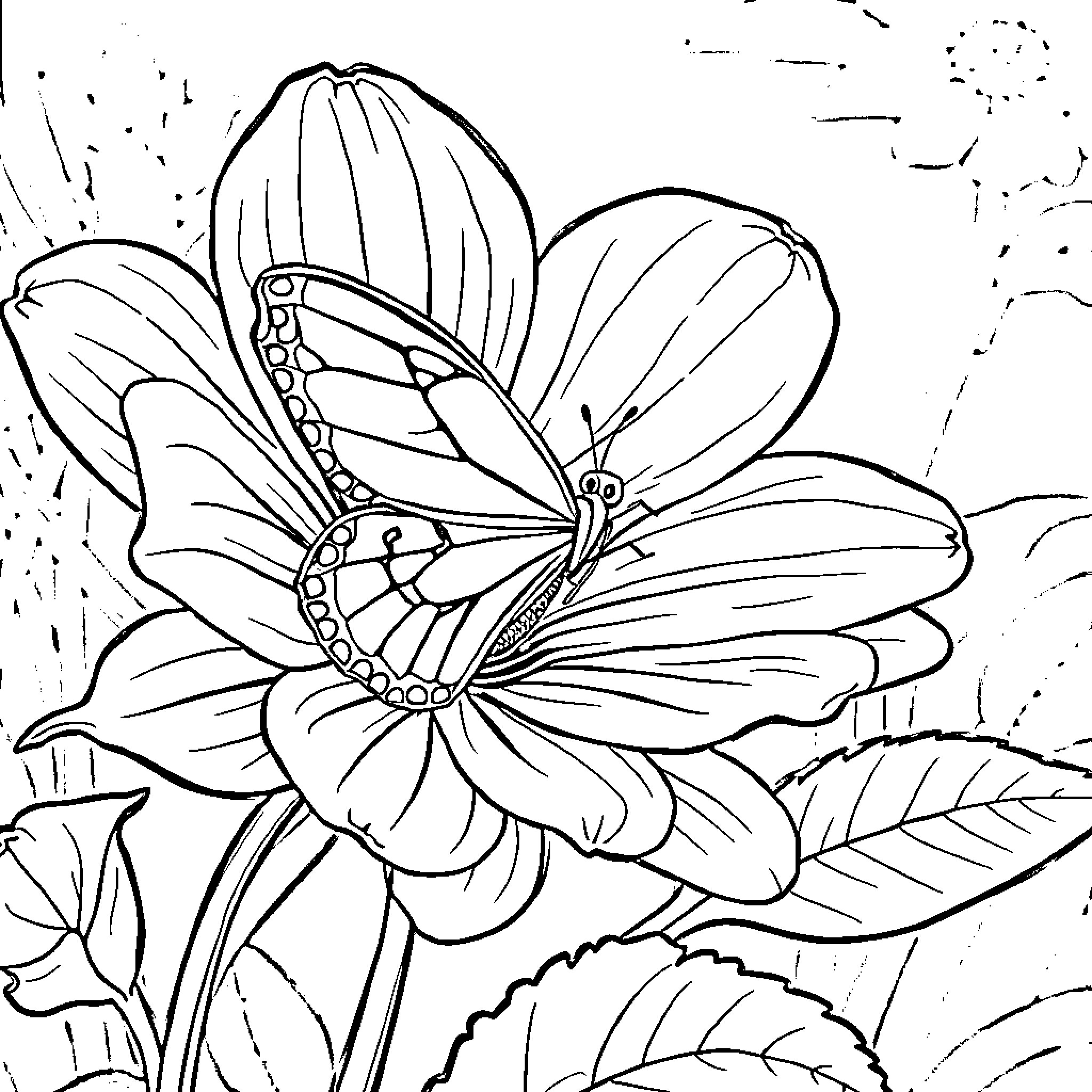 Flower blooming beautifully in the garden Coloring Page (free black-and-white line drawing printable PDF for all, from beginners to advanced learners, including children, teens, adults, and seniors)