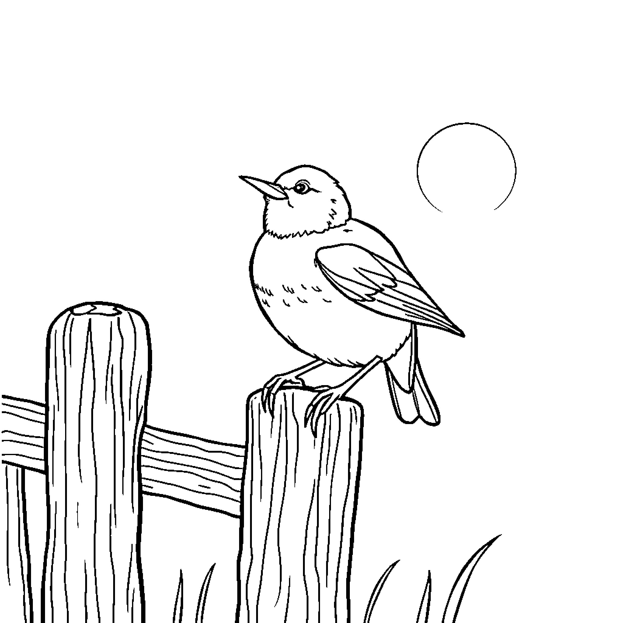 Bird perching on wooden post in the moonlight Coloring Page (free black-and-white line drawing printable PDF for all, from beginners to advanced learners, including children, teens, adults, and seniors)