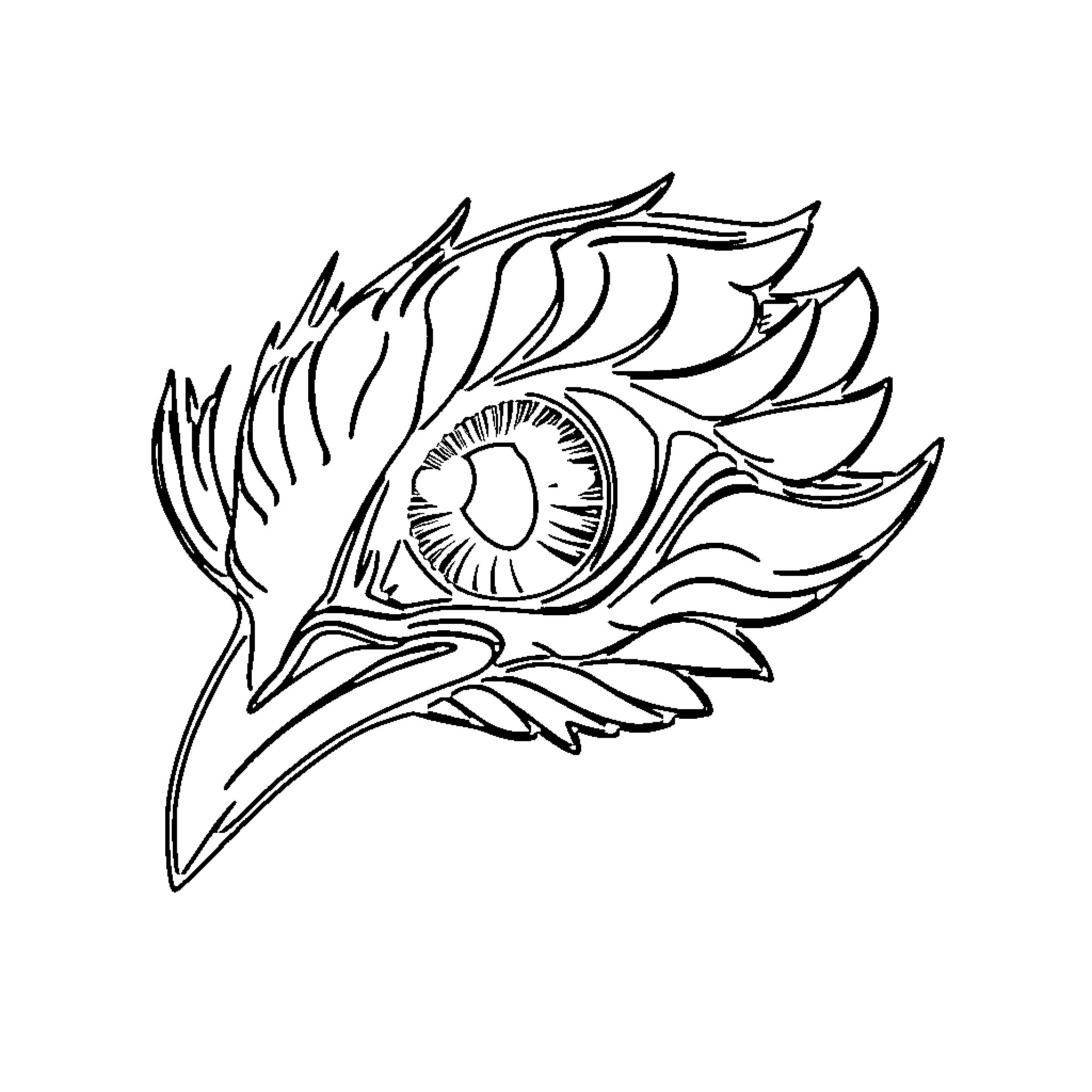 Goldeneyes - Abstract Bird Eye Design Coloring Page (free black-and-white line drawing printable PDF for all, from beginners to advanced learners, including children, teens, adults, and seniors)