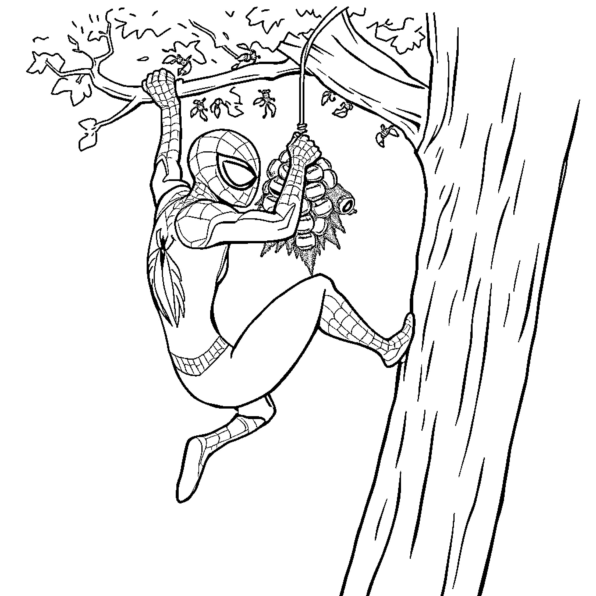Spidey Scaling the Tree in Action Coloring Page (free black-and-white line drawing printable PDF for all, from beginners to advanced learners, including children, teens, adults, and seniors)