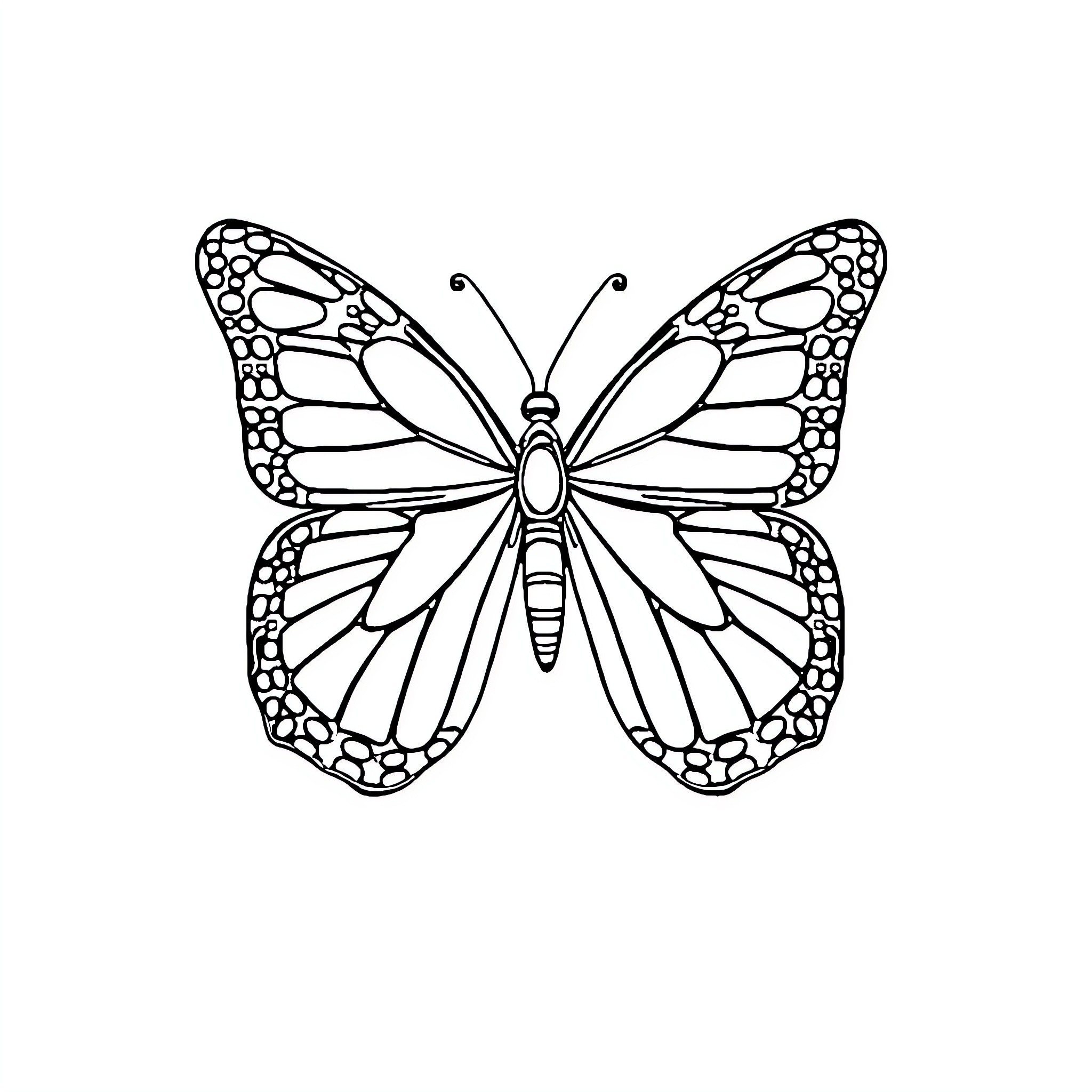 Butterfly with intricate wing patterns Coloring Page (free black-and-white line drawing printable PDF for all, from beginners to advanced learners, including children, teens, adults, and seniors)