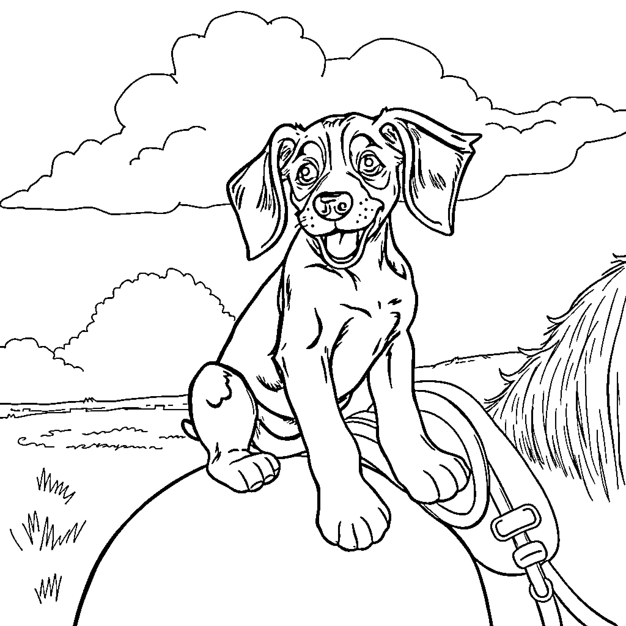 Dachshund puppy enjoying outdoor adventure Coloring Page (free black-and-white line drawing printable PDF for all, from beginners to advanced learners, including children, teens, adults, and seniors)