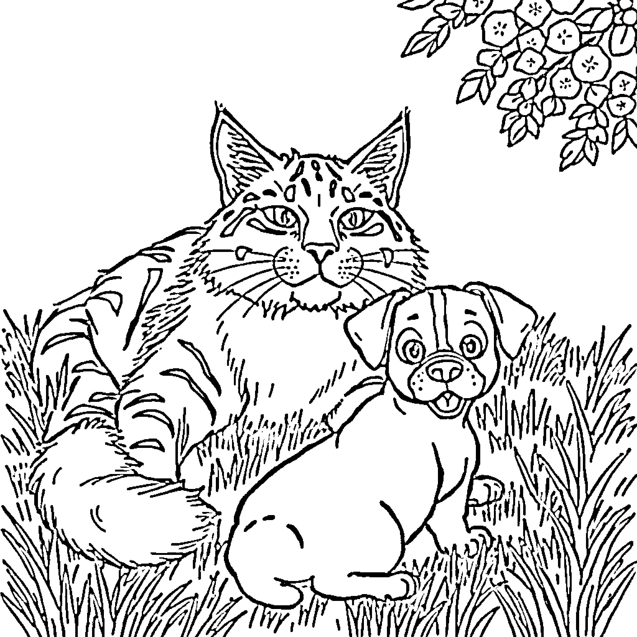 Cat and Dog Resting in the Grass Coloring Page (free black-and-white line drawing printable PDF for all, from beginners to advanced learners, including children, teens, adults, and seniors)
