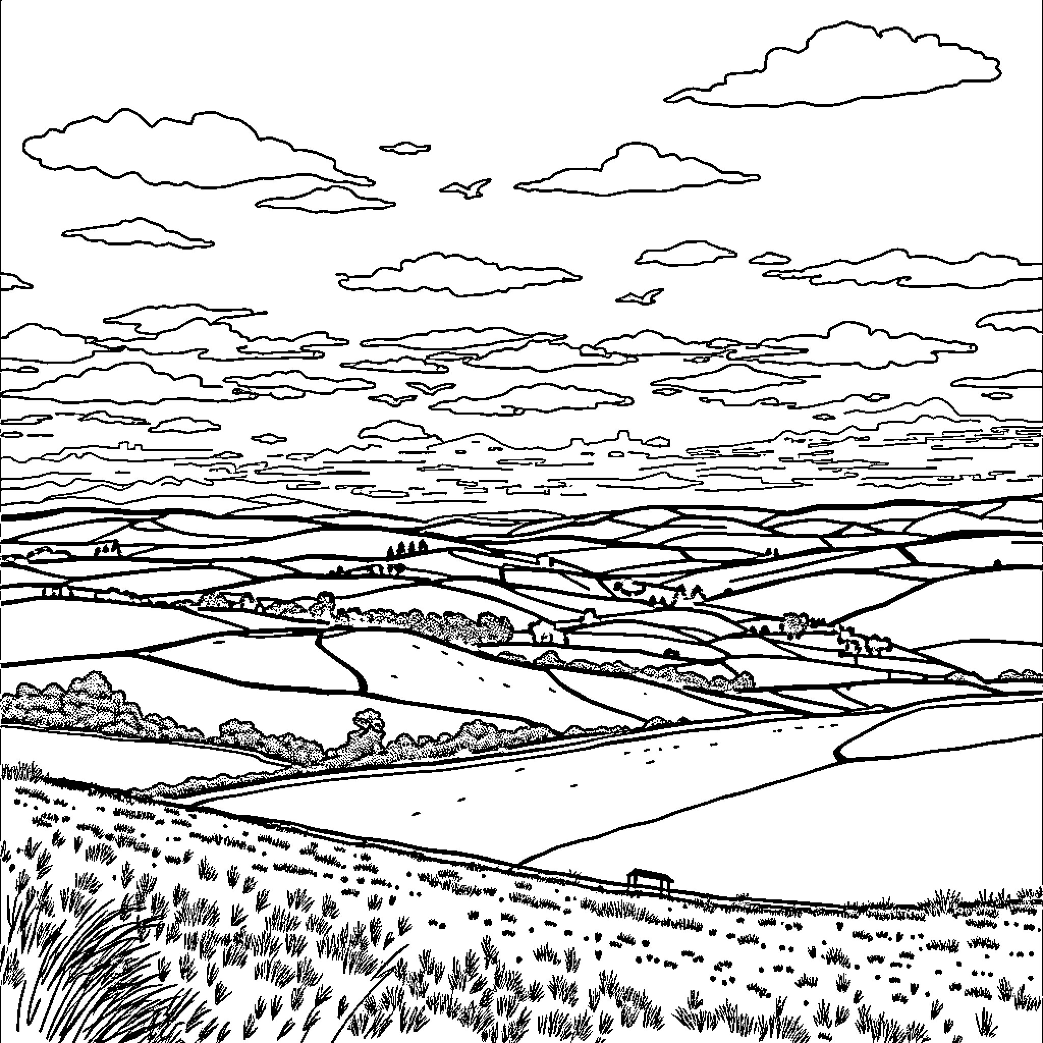 Berwickshire countryside with rolling hills and winding roads Coloring Page (free black-and-white line drawing printable PDF for all, from beginners to advanced learners, including children, teens, adults, and seniors)