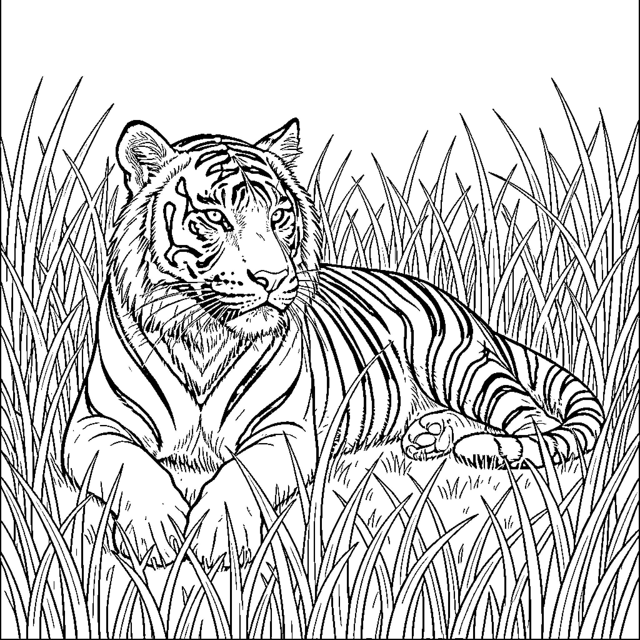 Tiger resting in tall grass Coloring Page (free black-and-white line drawing printable PDF for all, from beginners to advanced learners, including children, teens, adults, and seniors)