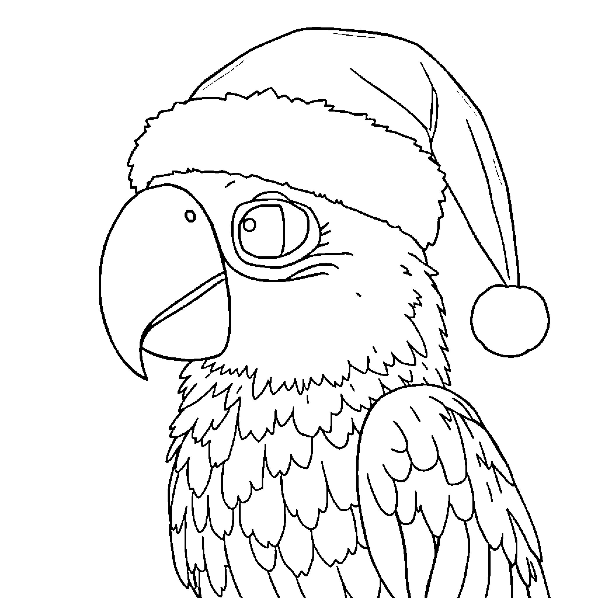 Parrot wearing a festive hat Coloring Page (free black-and-white line drawing printable PDF for all, from beginners to advanced learners, including children, teens, adults, and seniors)