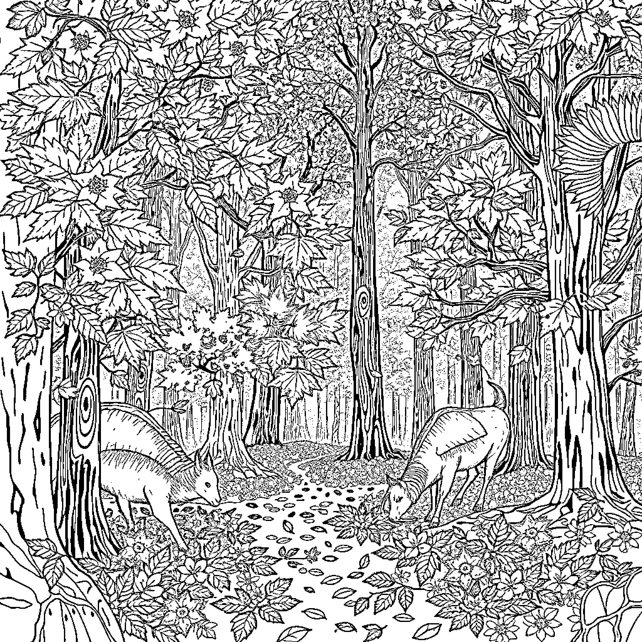 Autumn Woodland with Deer in Forest Landscape Coloring Page (free black-and-white line drawing printable PDF for all, from beginners to advanced learners, including children, teens, adults, and seniors)