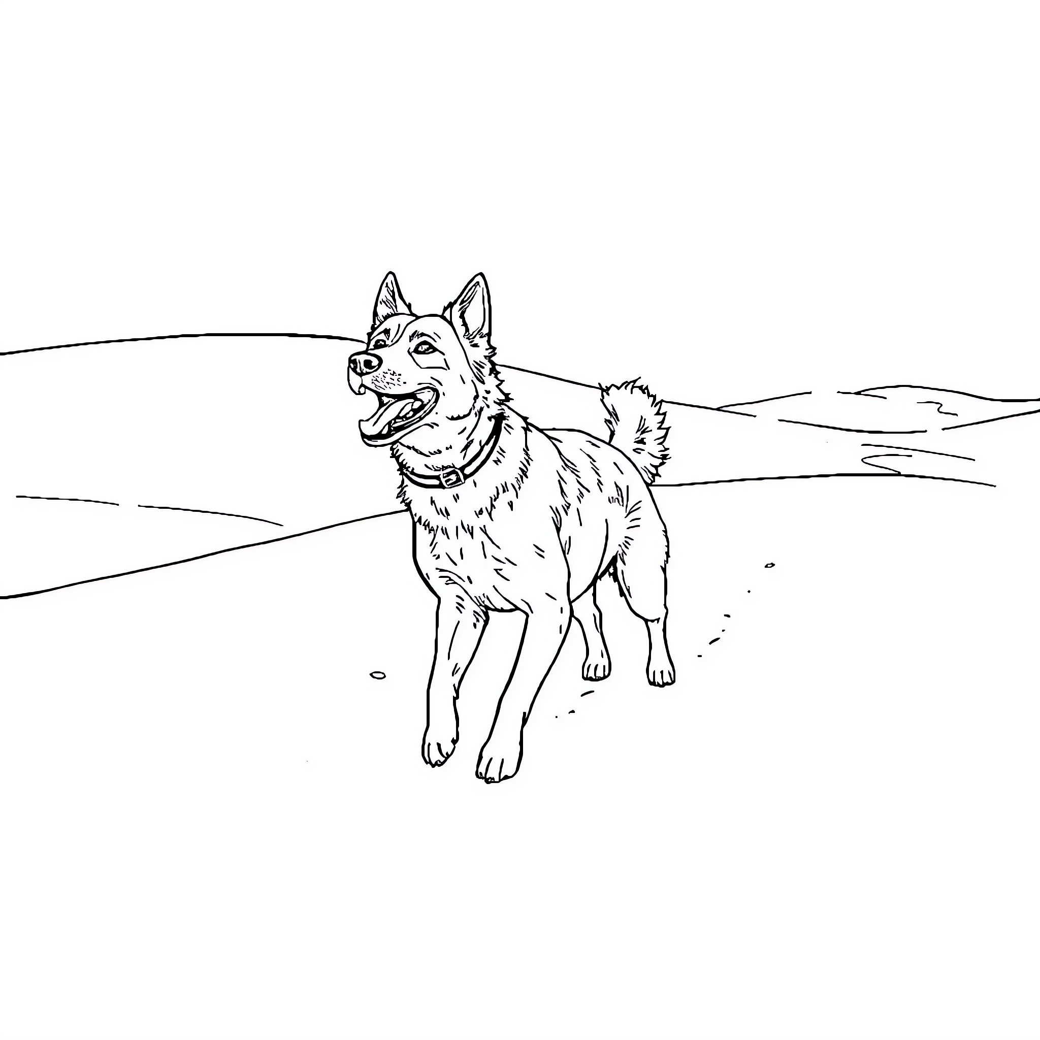 Dog running happily in the field Coloring Page (free black-and-white line drawing printable PDF for all, from beginners to advanced learners, including children, teens, adults, and seniors)