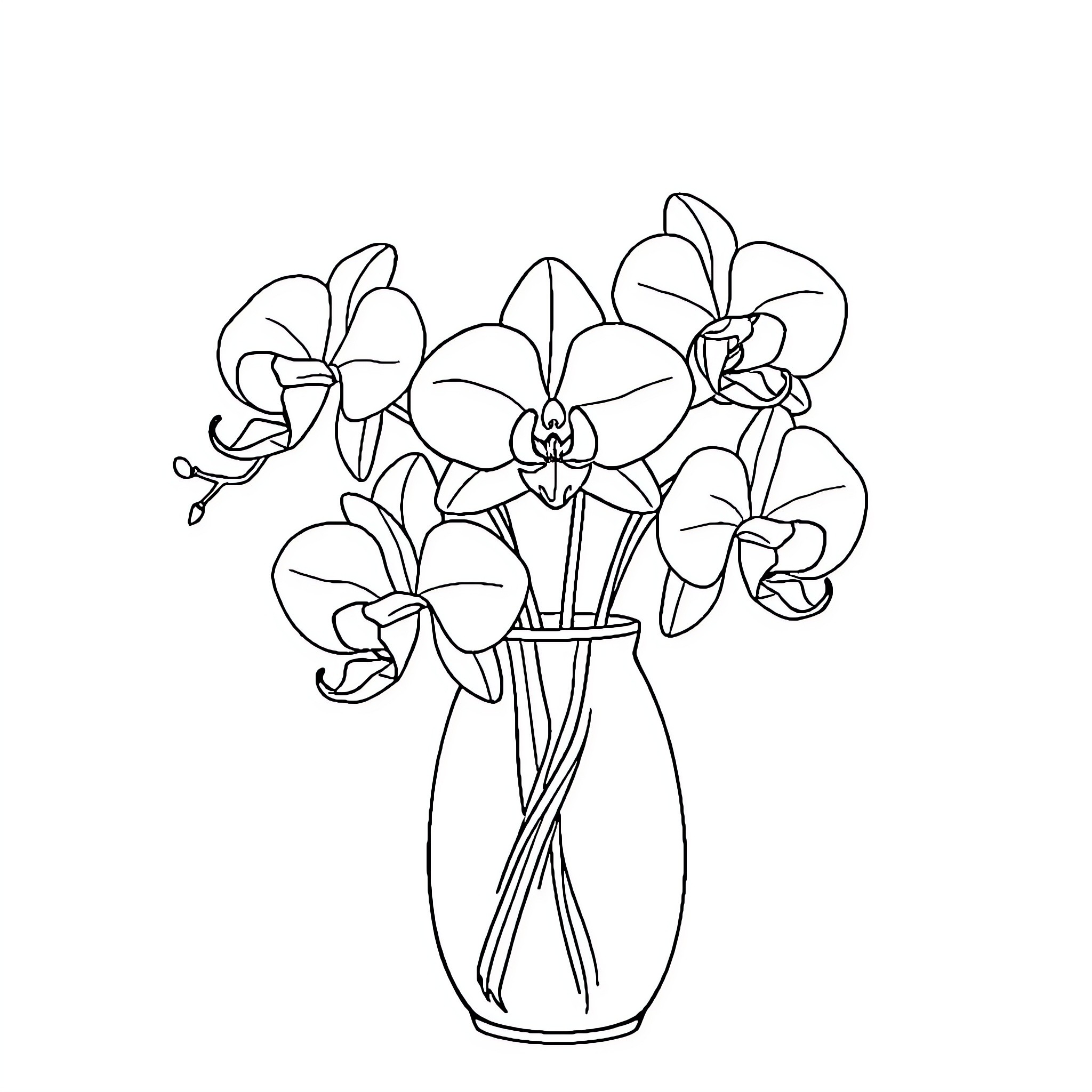 Orchid flowers in a vase Coloring Page (free black-and-white line drawing printable PDF for all, from beginners to advanced learners, including children, teens, adults, and seniors)