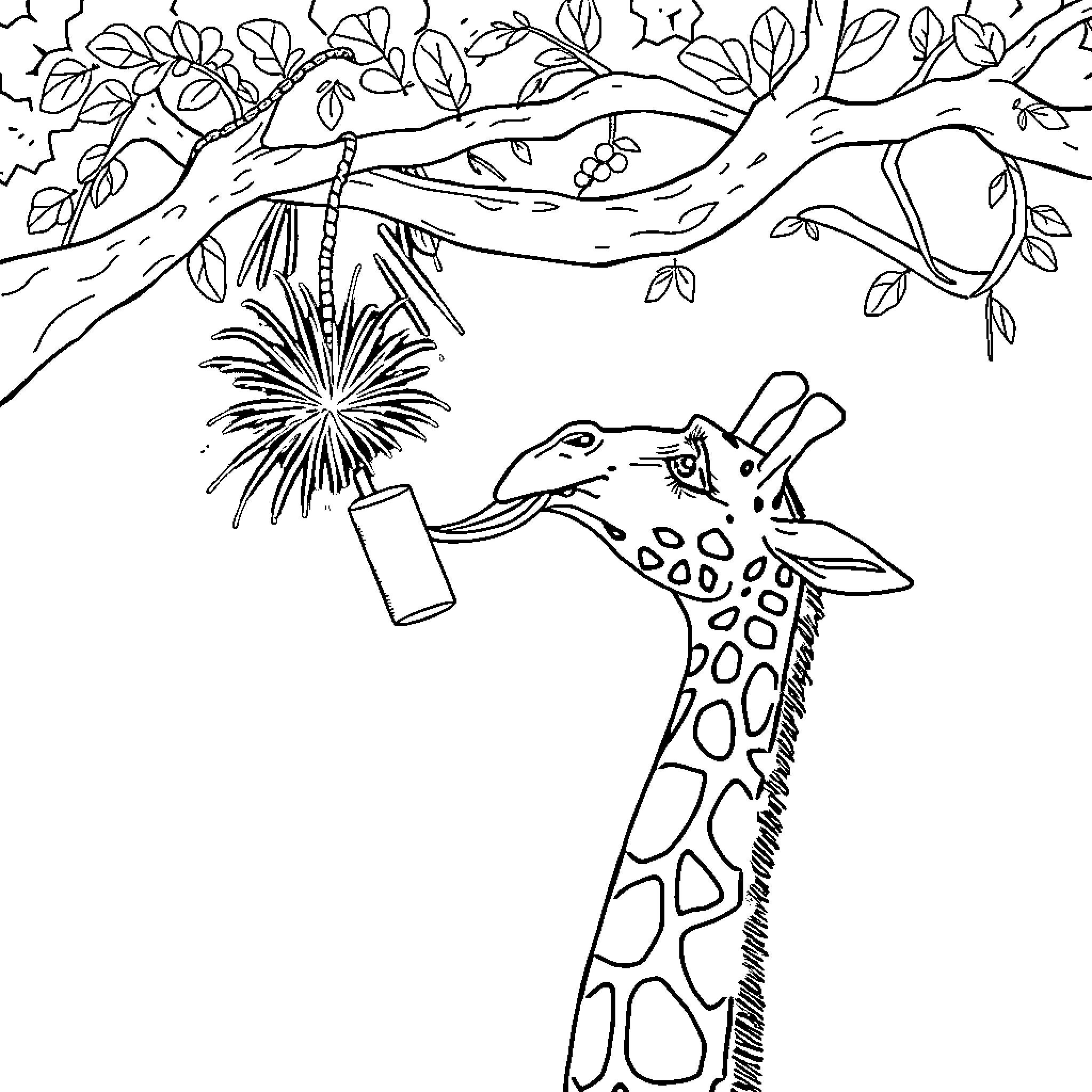 Giraffe reaching for fruit in a tree Coloring Page (free black-and-white line drawing printable PDF for all, from beginners to advanced learners, including children, teens, adults, and seniors)